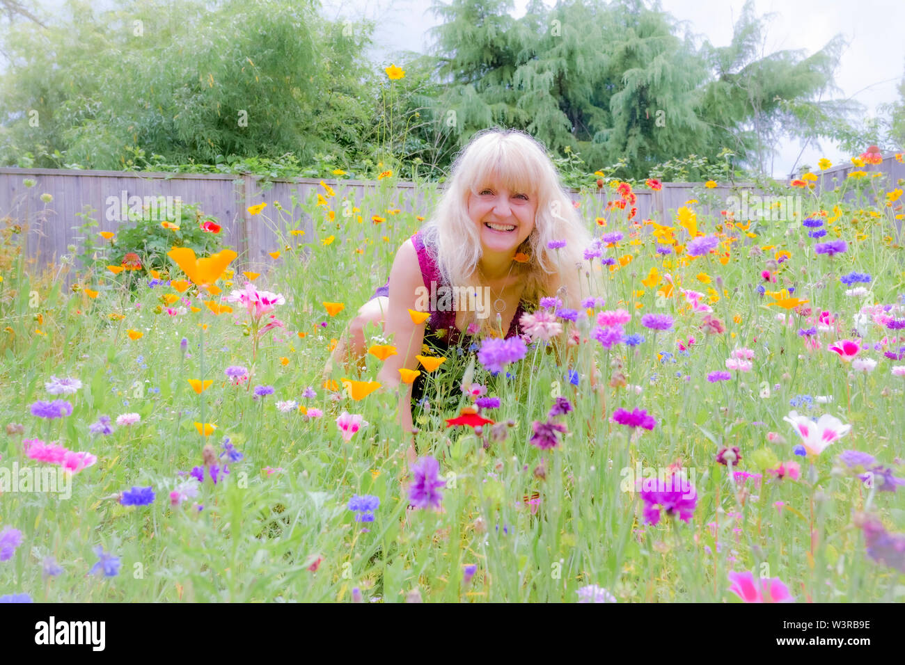 Blonde Frau ihrem Hinterhof voller Wildblumen genießen. Rasen ersetzt werden. Stockfoto