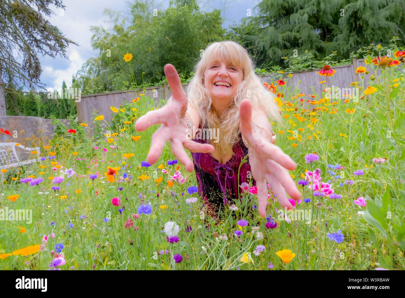 Blonde Frau ihrem Hinterhof voller Wildblumen genießen. Rasen ersetzt werden. Stockfoto