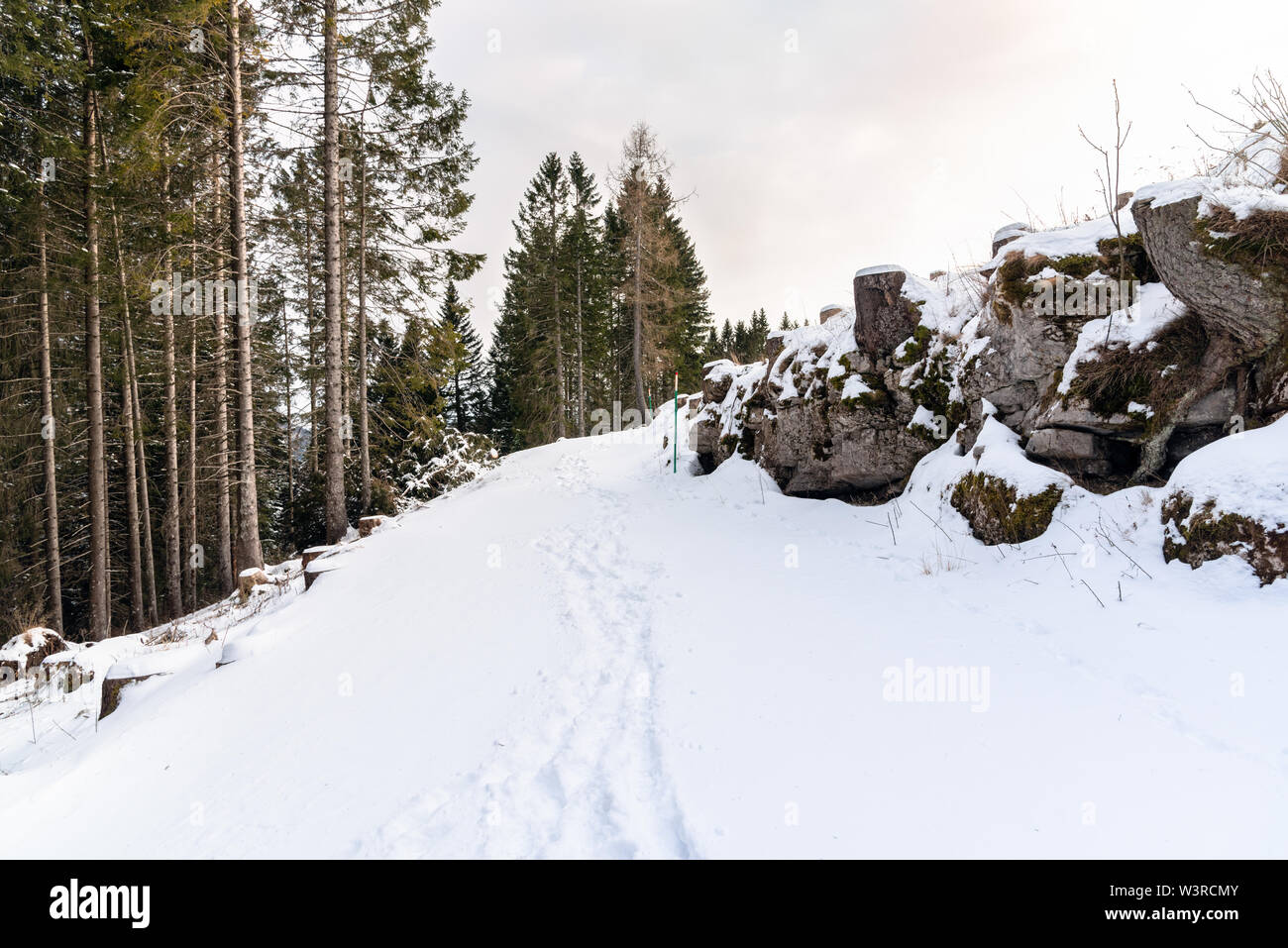 Schnee covere Mountain Trail an einem trüben Wintertag. Spuren sind sichtbar auf dem frischen Schnee. Stockfoto