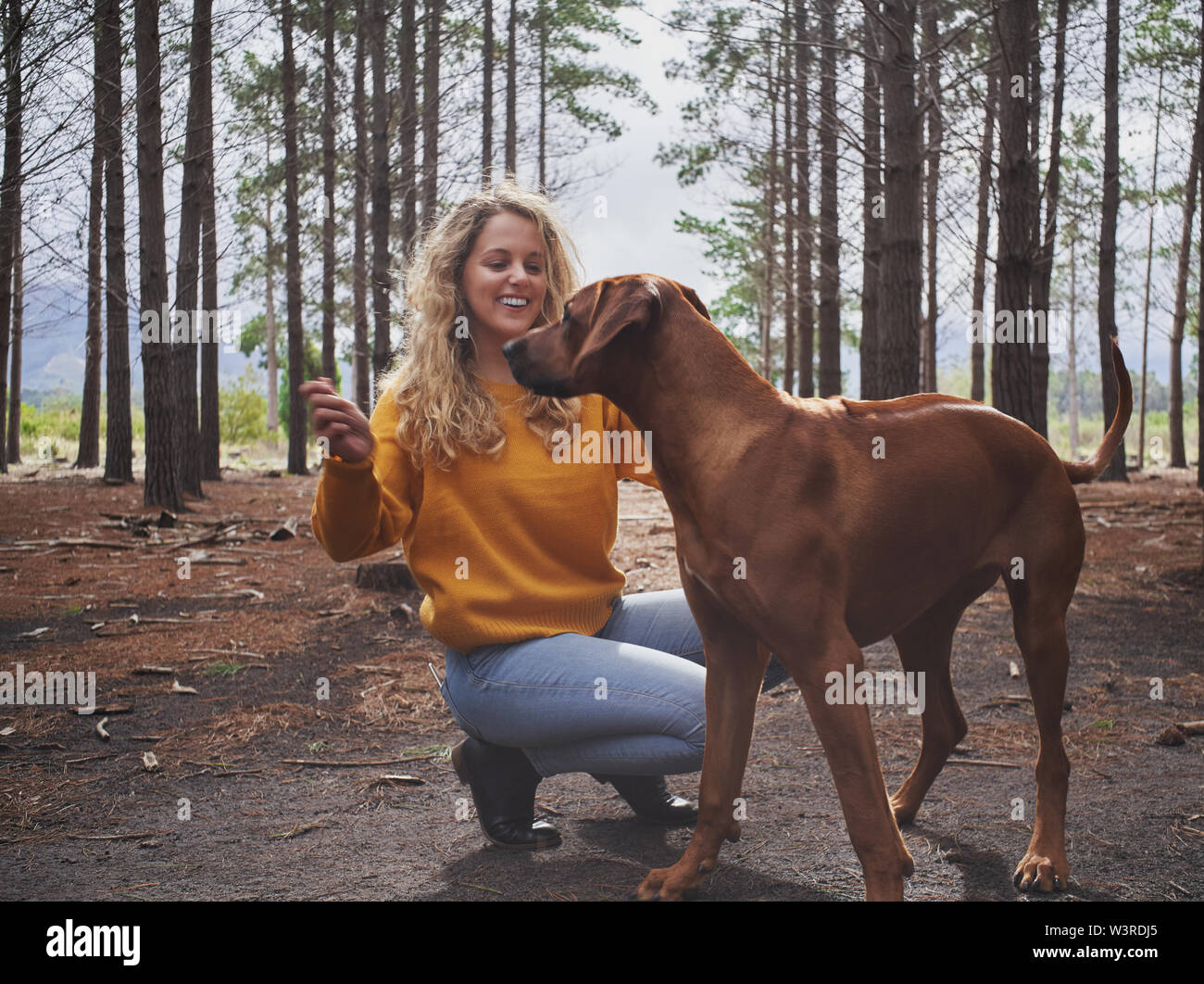 Lächelnden jungen Frau das Spielen mit Ihrem Hund im Wald Stockfoto