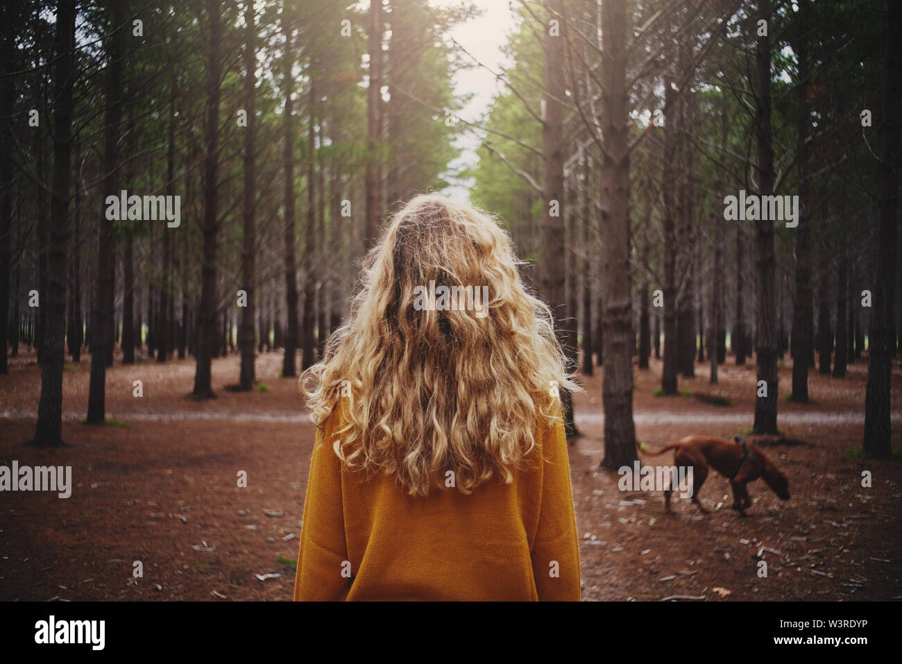 Blonde junge Frau mit ihrem Hund im Wald Stockfoto