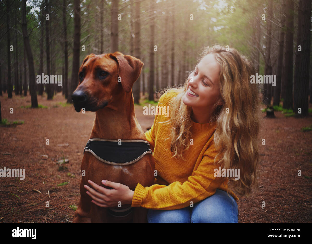 Eine attraktive junge Frau liebt gehorsamen Hund Stockfoto