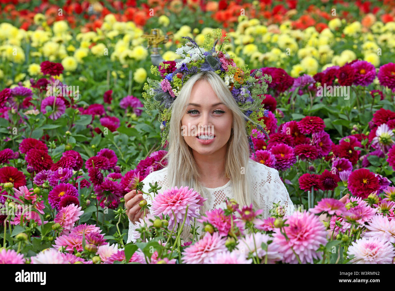 Knutsford, Großbritannien, 17. Juli 2019. Model und Schauspielerin Jorgie Portier, Theresa McQueen in den Kanal 4 Soap Hollyoaks unter Dahlien spielte bei der jährlichen RHS flower show, Tatton Park, Knutsford, Cheshire, UK. Quelle: Barbara Koch/Alamy leben Nachrichten Stockfoto