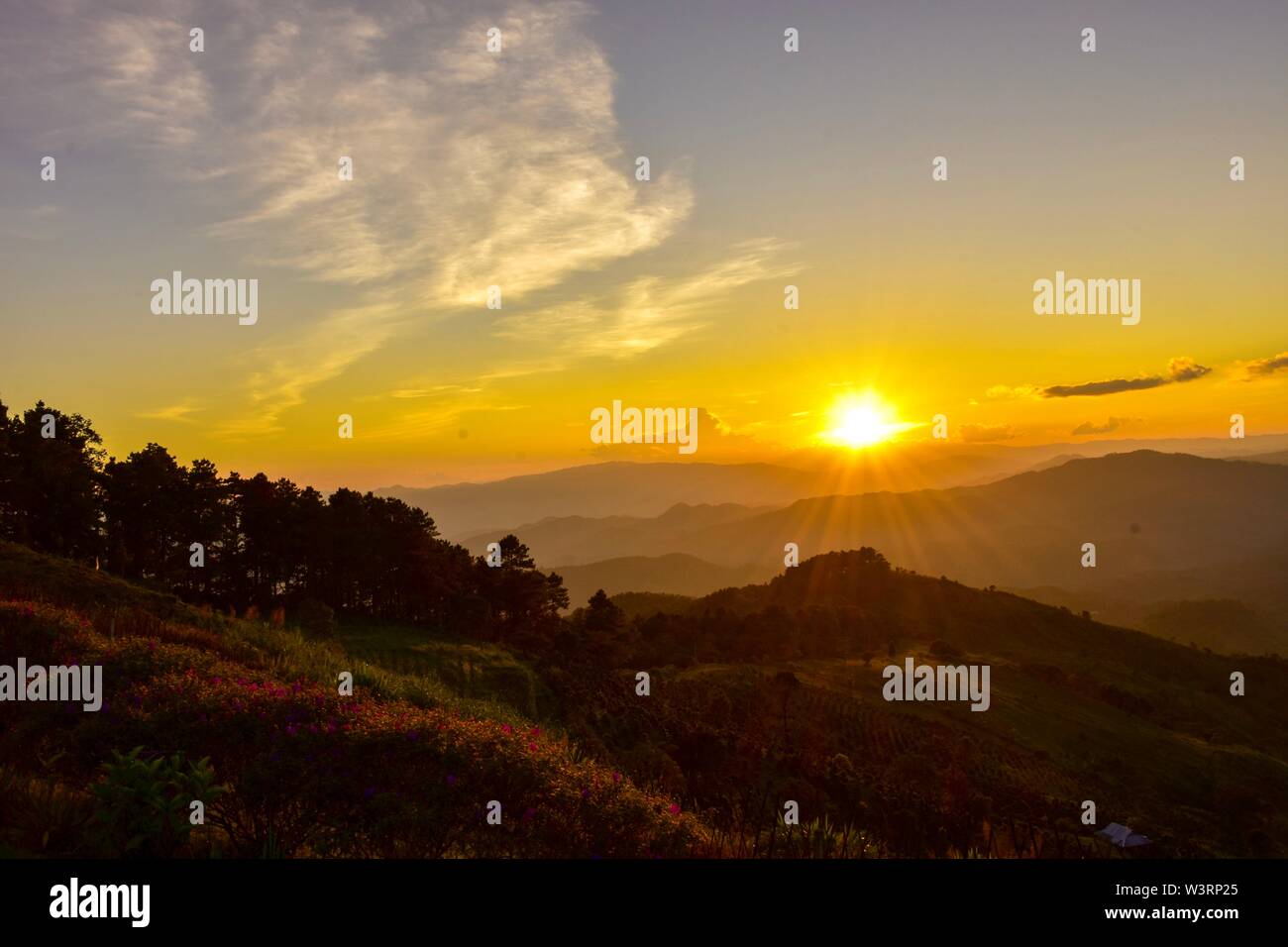 Sonnenuntergang am Doi Chang mub Mae Fa Luang Chiang Rai Thailand. Stockfoto