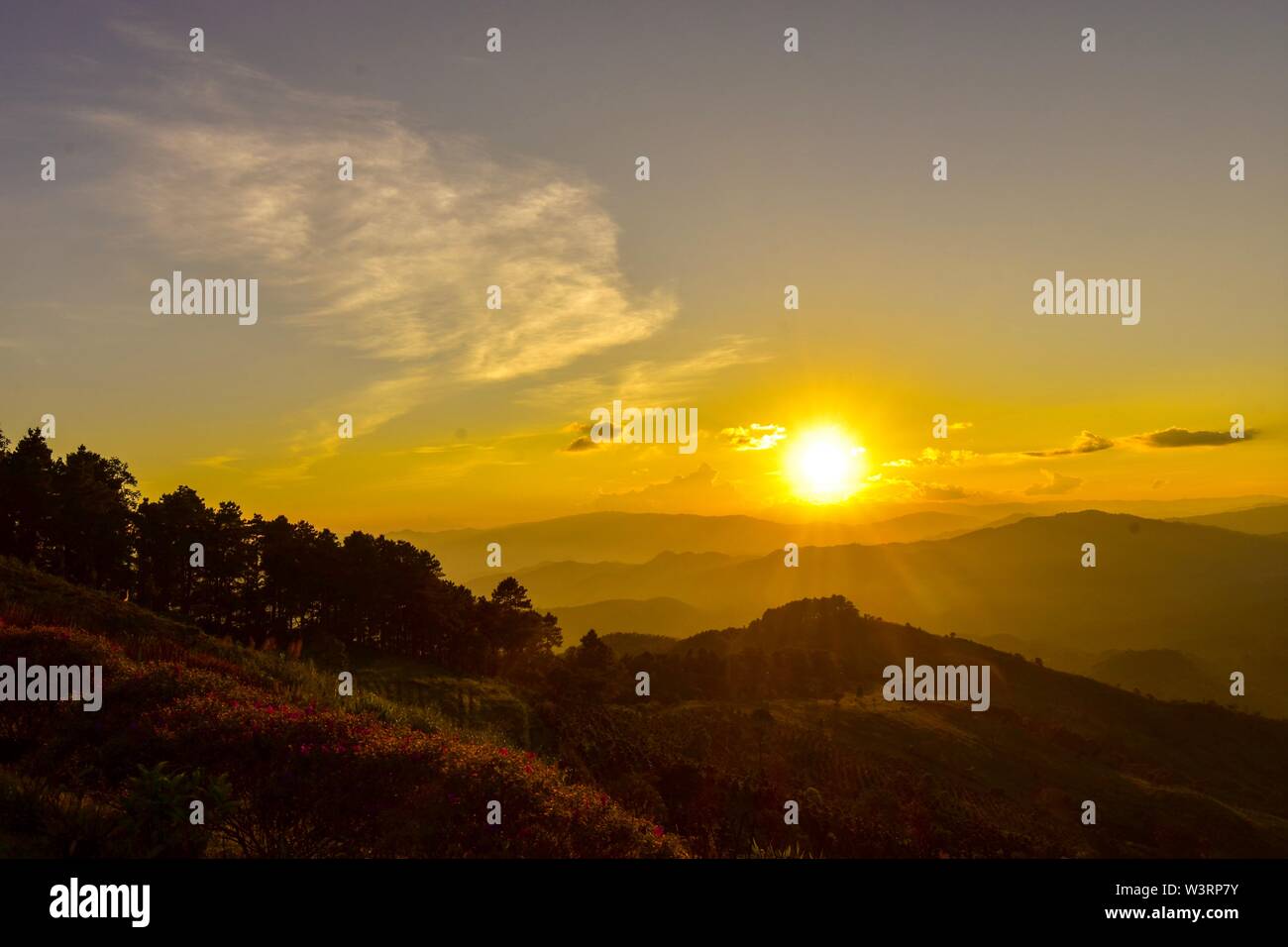 Sonnenuntergang am Doi Chang mub Mae Fa Luang Chiang Rai Thailand. Stockfoto