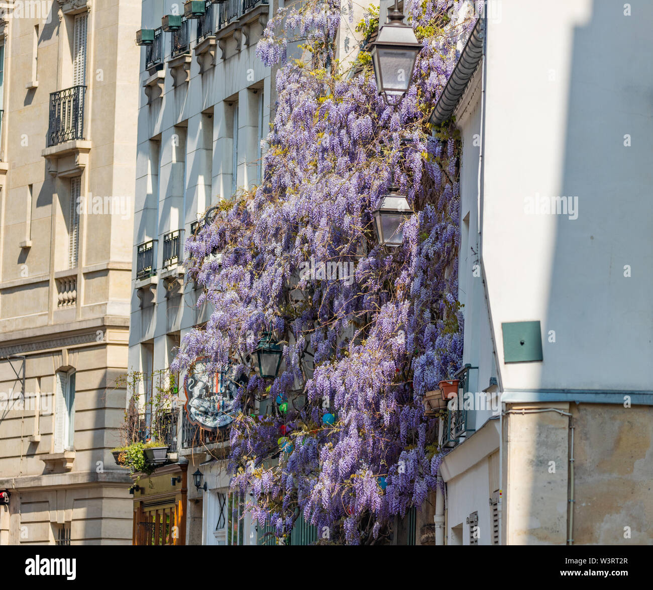 Paris, Frankreich, Straße mit blühenden Bäumen Stockfoto
