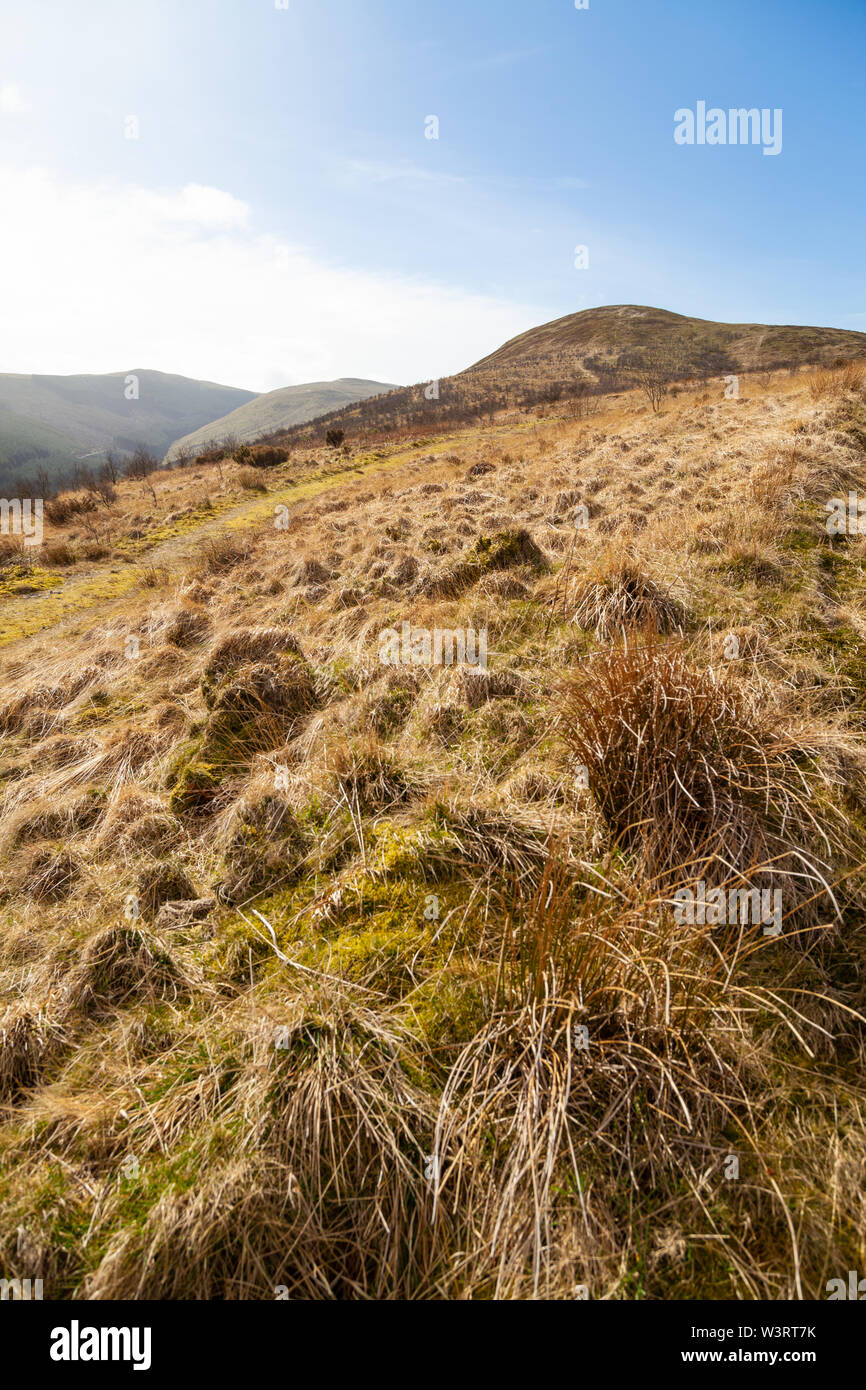 Suchen bis zu Ben Shee einen kleinen Hügel in der Nähe von Glen Devon, Schottland Stockfoto