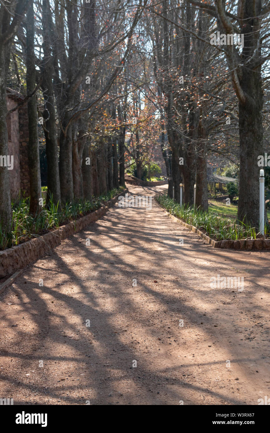 Eine Vorderansicht eines sand und stein Zufahrt hat große Bäume bis ganz an die Spitze, wo seine Splits Stockfoto