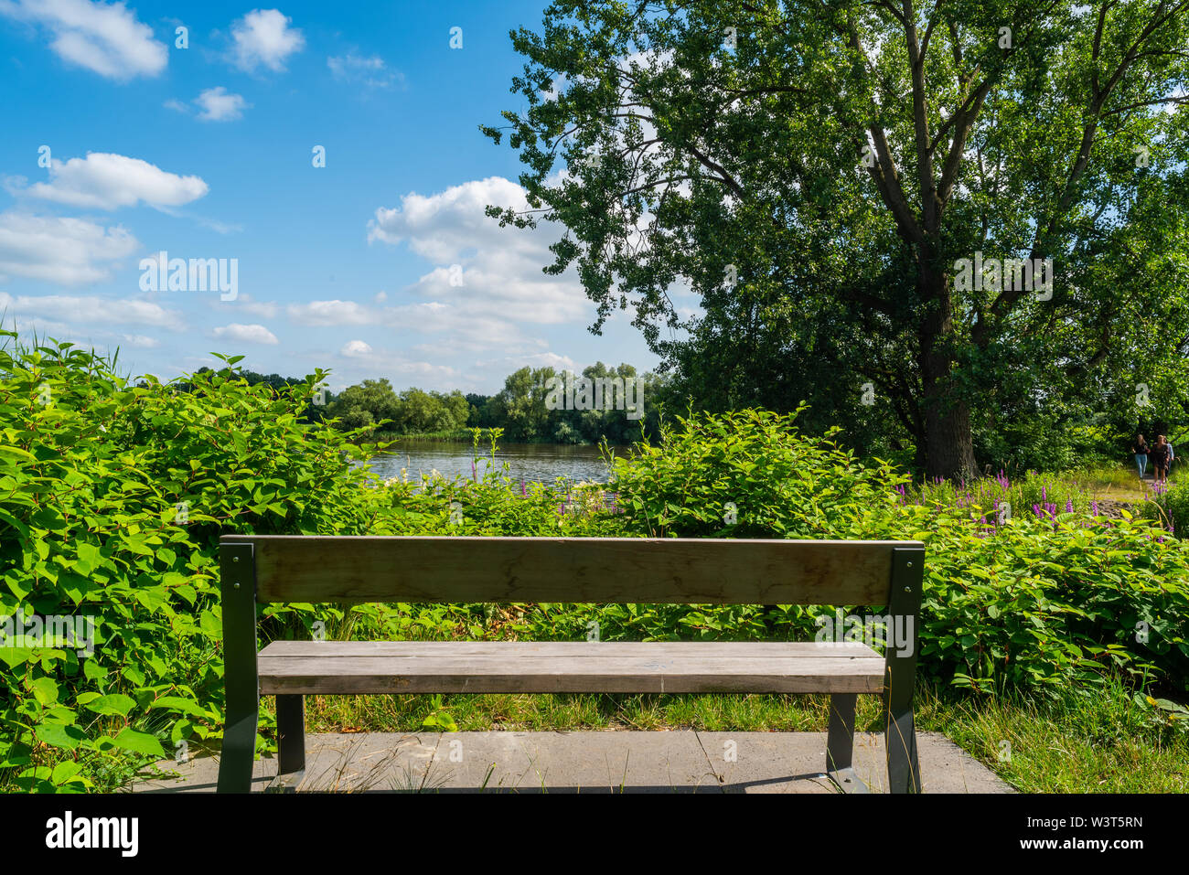 Kann man vergessen seine Sorgen bei einer Bank in Knoops Park Stockfoto