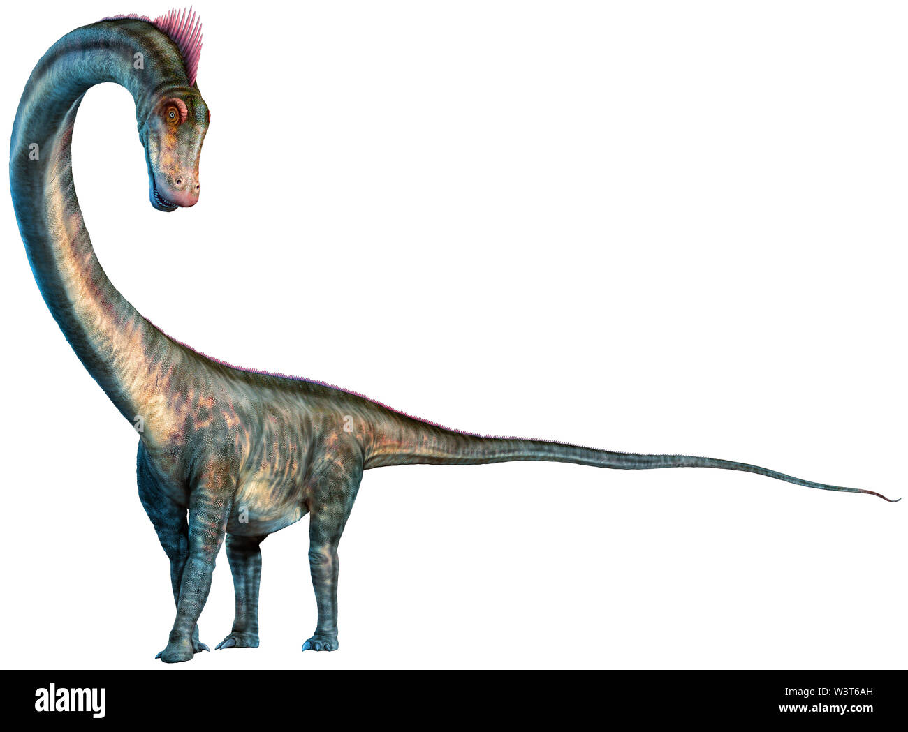 Barosaurus von der Jurazeit Ära 3D-Darstellung Stockfoto