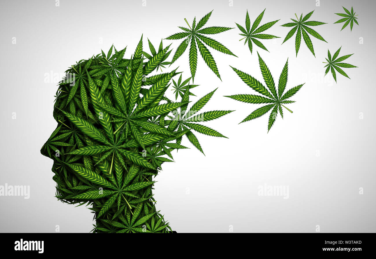 Marihuana Auswirkungen auf das Gehirn und Cannabis Stimmung ändern Chemikalien oder Psychologie und Drogen Konzept in einer 3D-Darstellung. Stockfoto