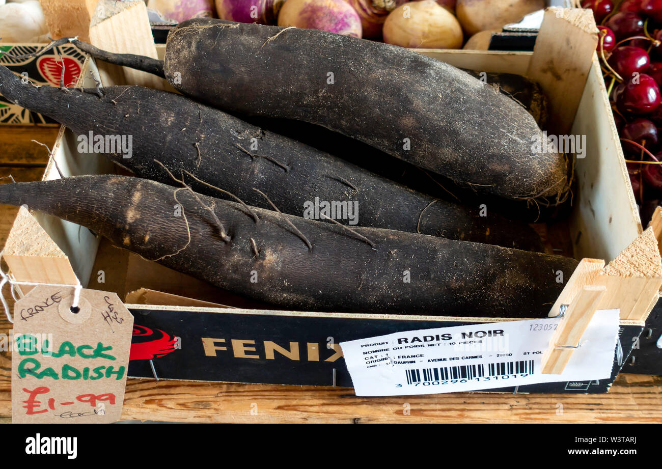 Frische schwarze Rettiche zum Verkauf auf einem Yorkshire- und Gemüsehändler shop Preis von £ 1,99 pro 2019 Stockfoto