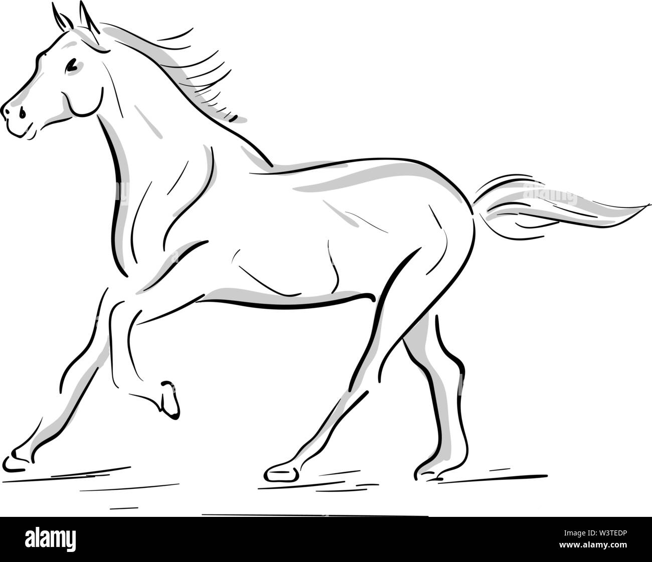 Die Silhouette eines laufenden Pferd in Grau, Vector, Farbe, Zeichnung oder Abbildung. Stock Vektor