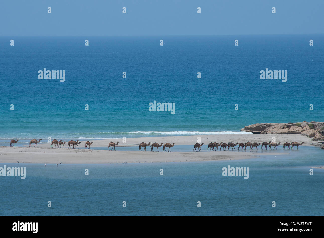 Oman und Dhofar Region, in der Nähe von Salalah, Khor Rori. Strand Blick auf das Arabische Meer von historischen Sumhuram, Teil der Weihrauch Trail. Gehört der Wilden kam Stockfoto