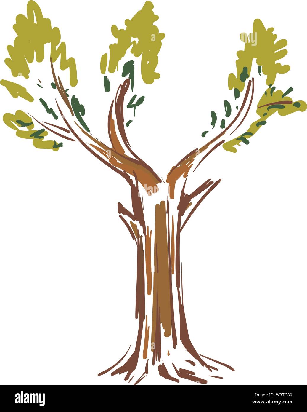 Eine Farbige Skizze Von Einem Grossen Baum Mit Grunen Blattern Vector Farbe Zeichnung Oder Abbildung Stock Vektorgrafik Alamy