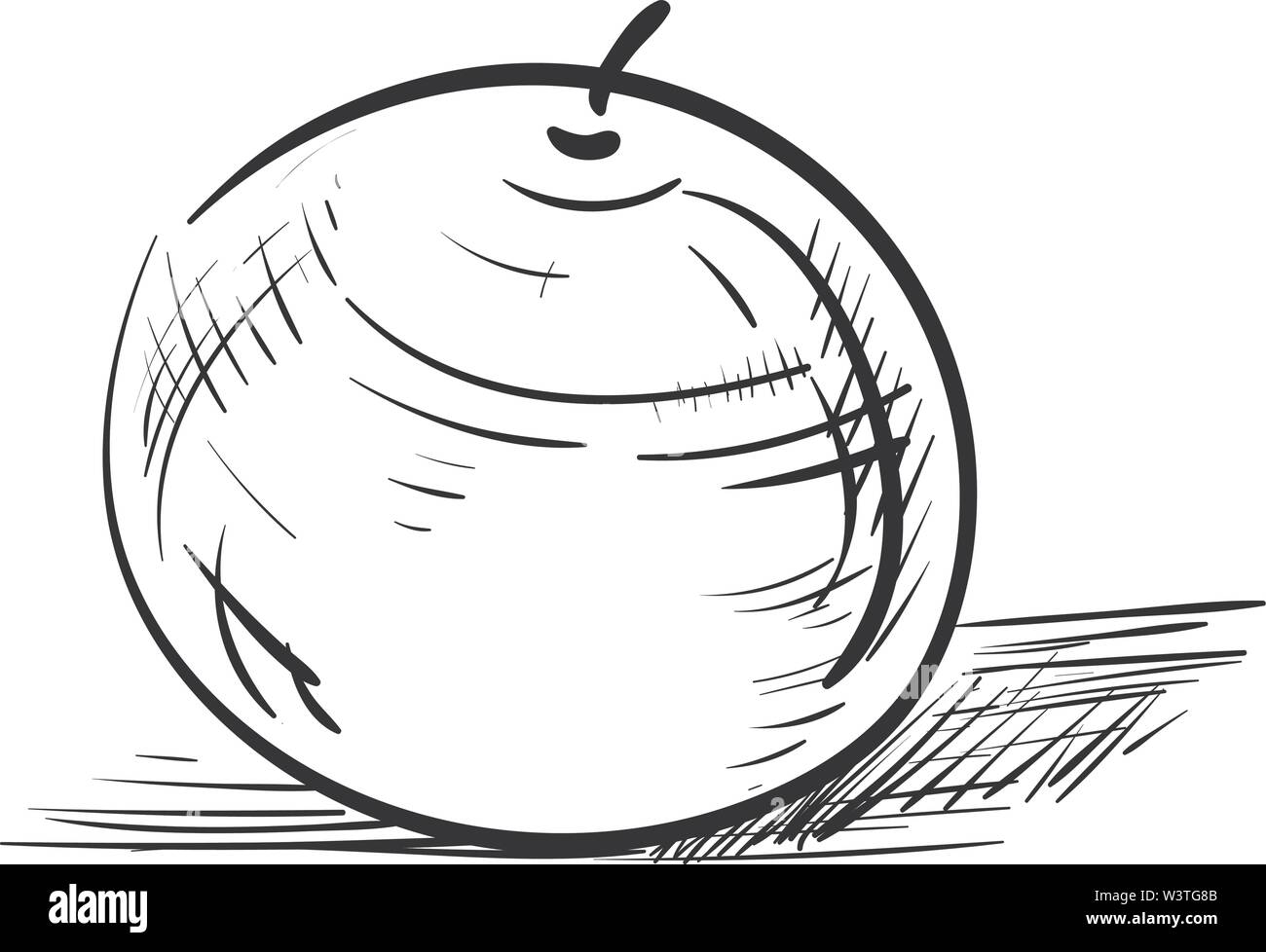 Eine ordentliche Skizze einer Orange in einem Papier, Vector, Farbe, Zeichnung oder Abbildung. Stock Vektor