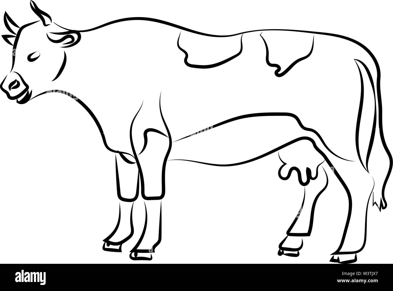 Kuh Seite Skizze, Illustration, Vektor auf weißem Hintergrund. Stock Vektor