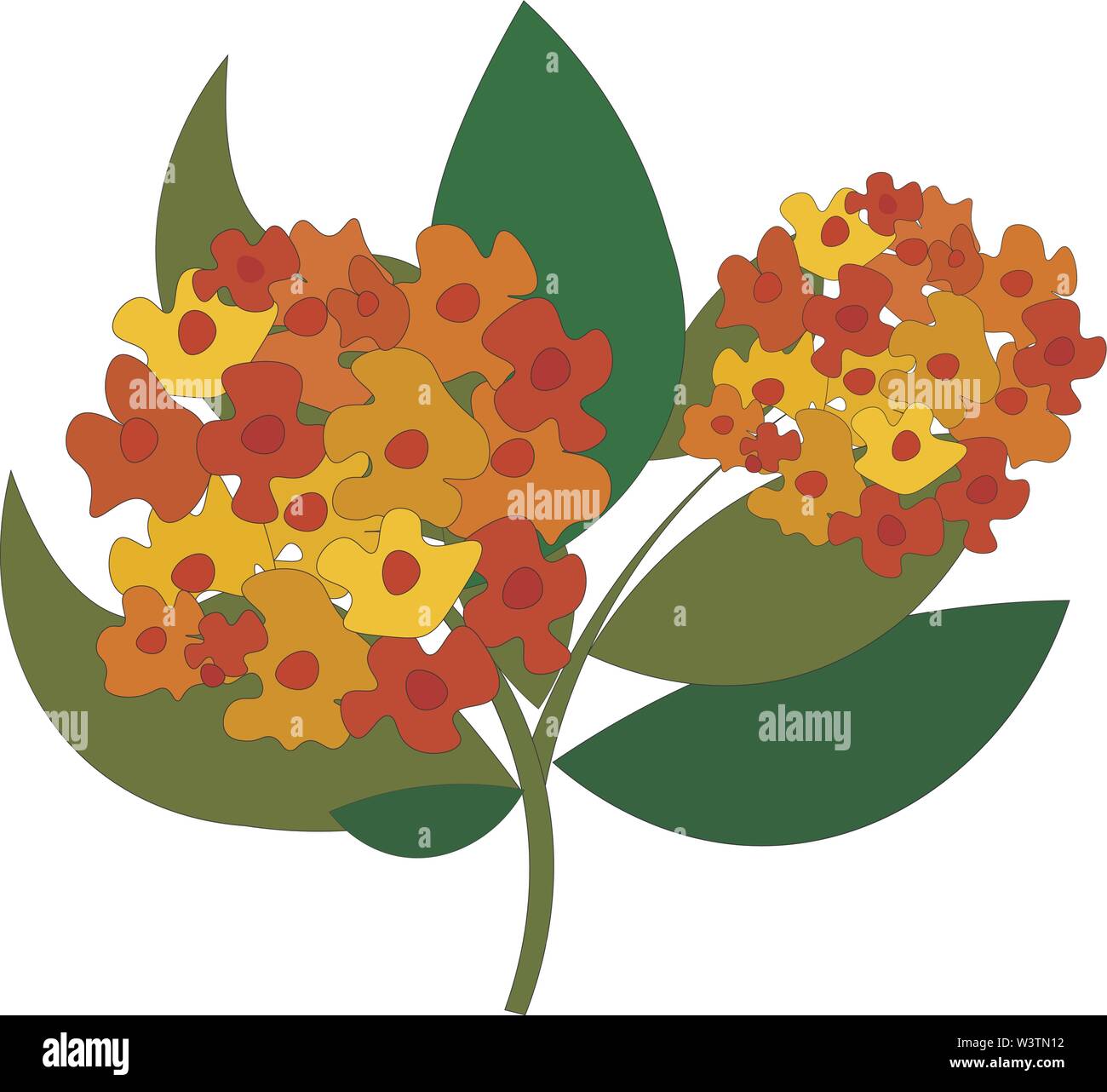 Schöne lantana Blumen, Illustration, Vektor auf weißem Hintergrund. Stock Vektor