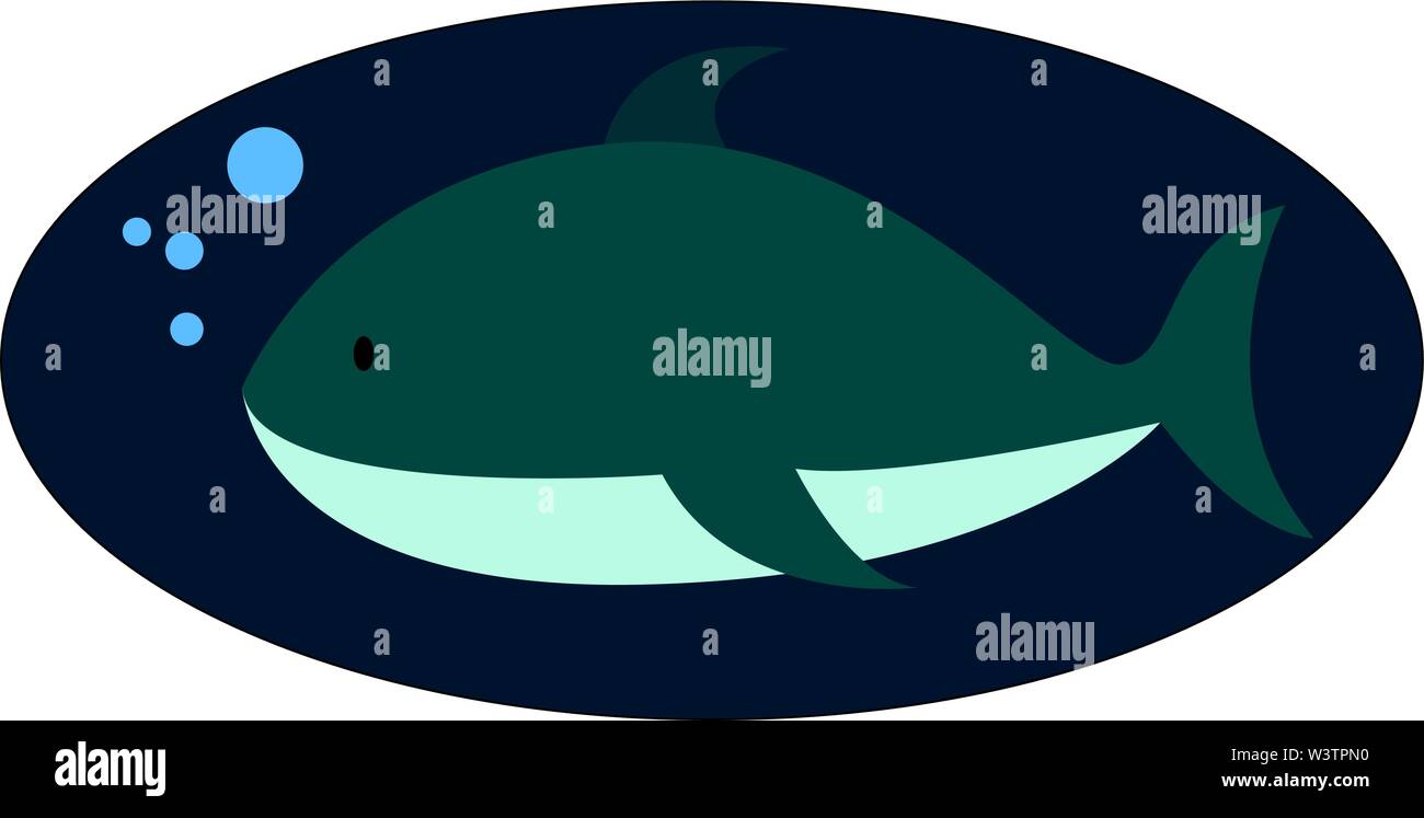 Hai im Wasser, Illustration, Vektor auf weißem Hintergrund. Stock Vektor