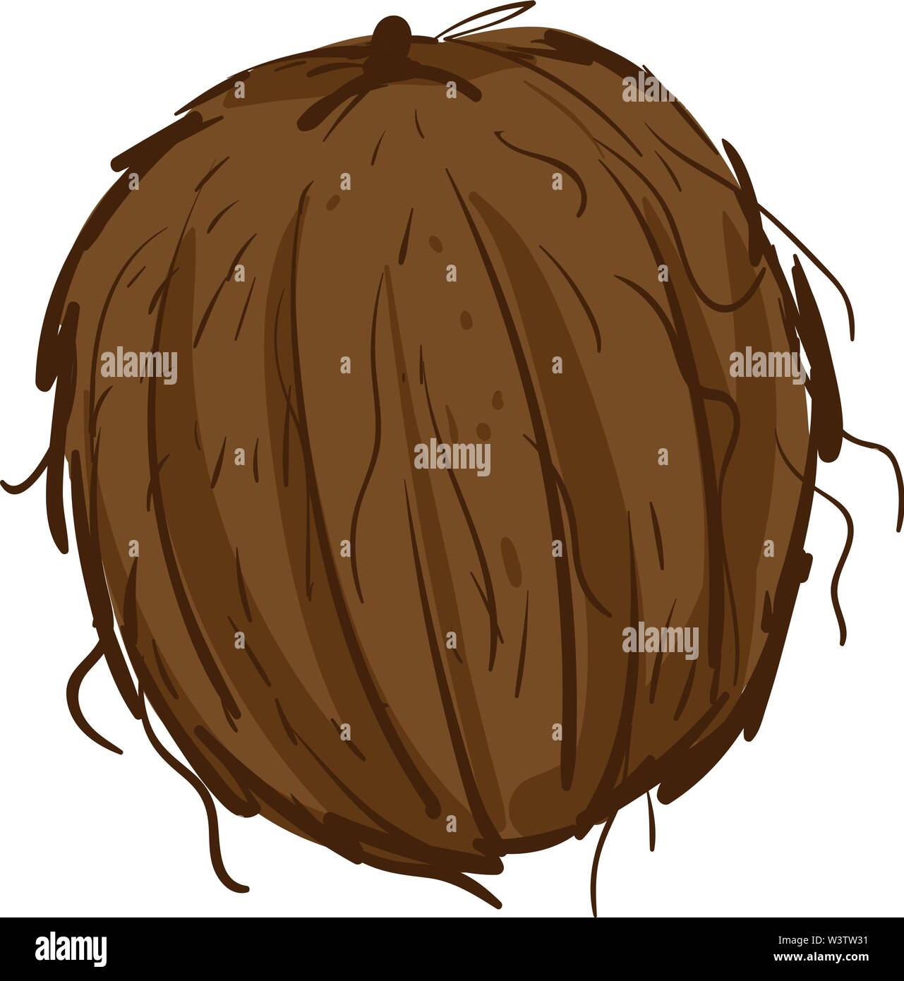 Kokosnuss in der Schale, Illustration, Vektor auf weißem Hintergrund. Stock Vektor