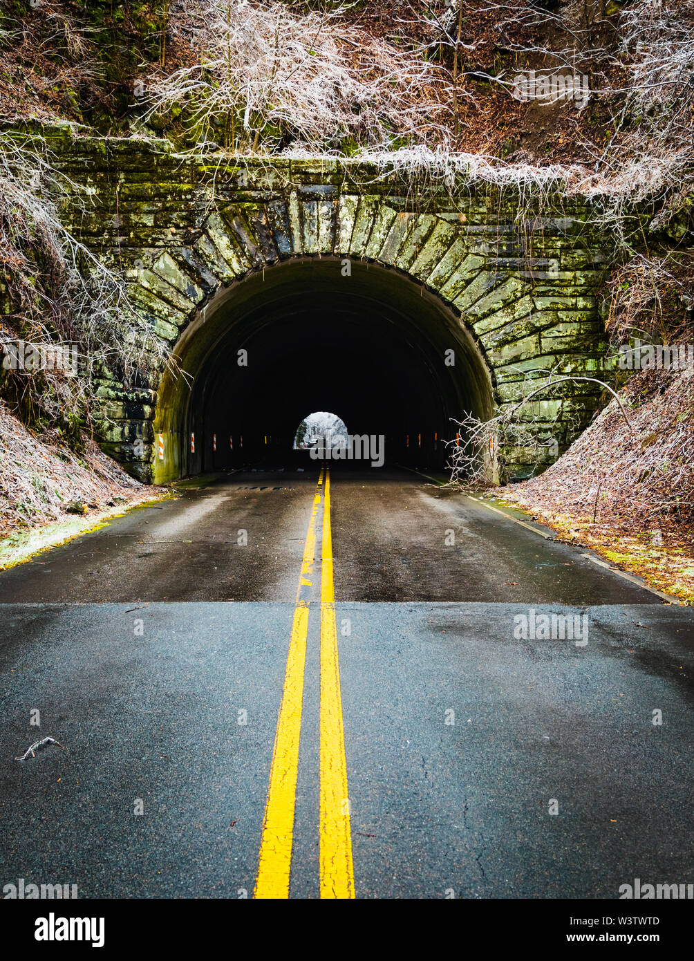 Eingang zu der Kleinen Schweiz Tunnel auf der Blue Ridge Parkway, North Carolina, USA, nach einem Eissturm. Ein Eissturm ist eine Art von Winter sto Stockfoto