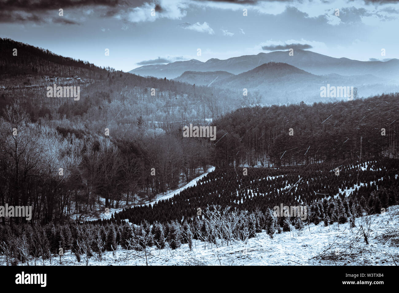 Duotone einer verschneiten Landschaft in der Nähe von Penland, North Carolina, mit dem Black Mountains Ridge im Hintergrund. Stockfoto