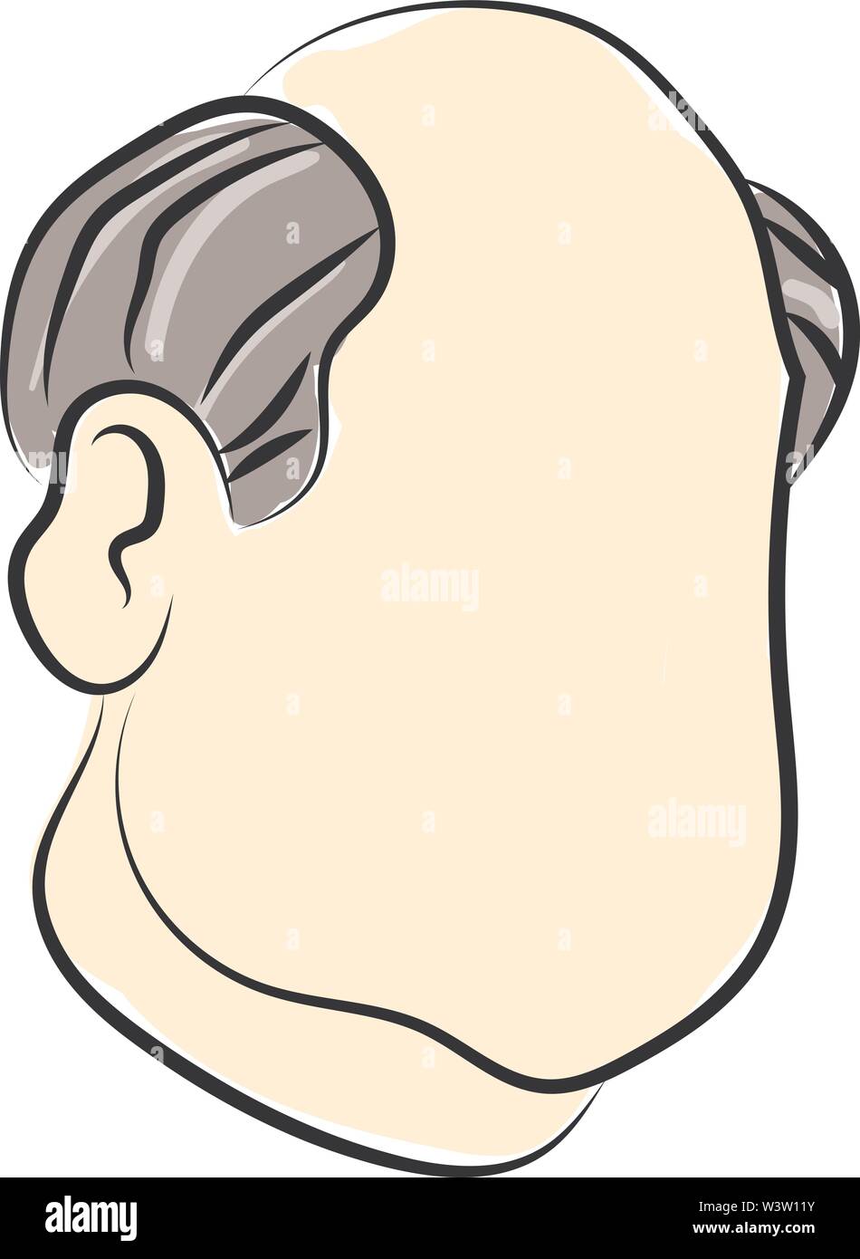 Die Hälfte glatzköpfige Mann, Illustration, Vektor auf weißem Hintergrund Stock Vektor