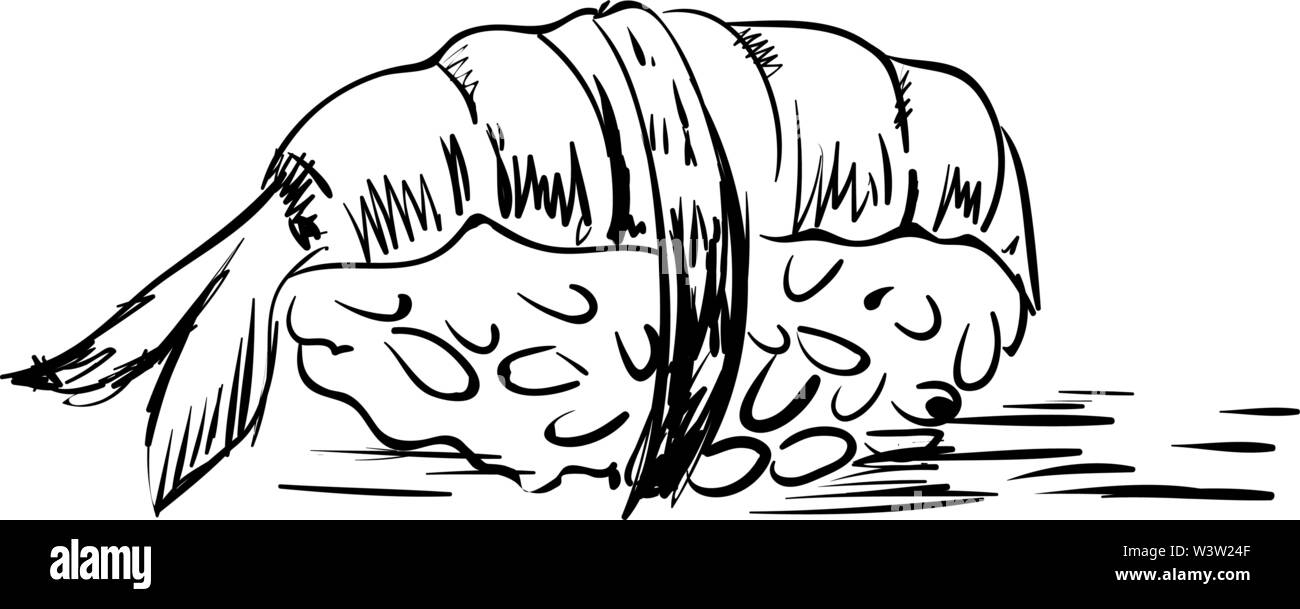 Sushi Roll Zeichnung, Illustration, Vektor auf weißem Hintergrund Stock Vektor