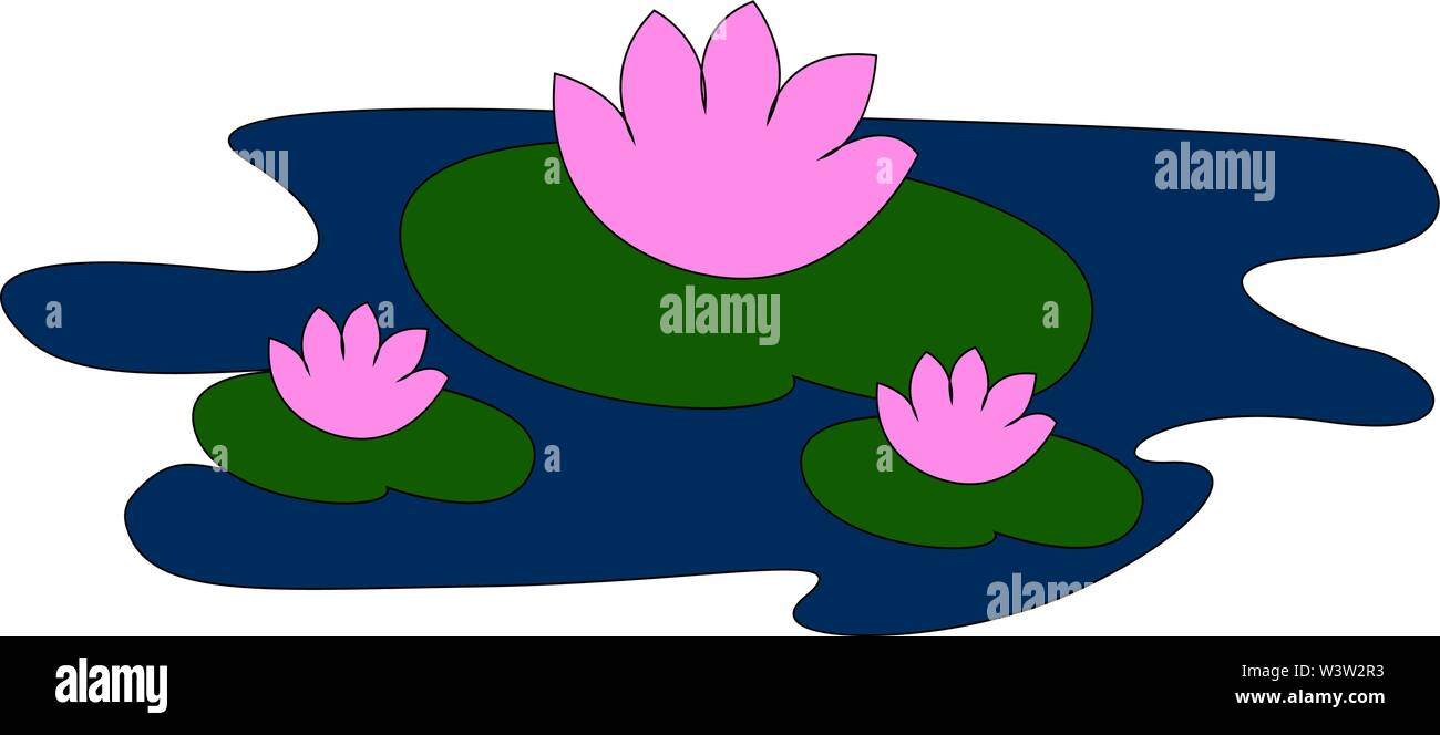 Seerosen, Illustration, Vektor auf weißem Hintergrund Stock Vektor
