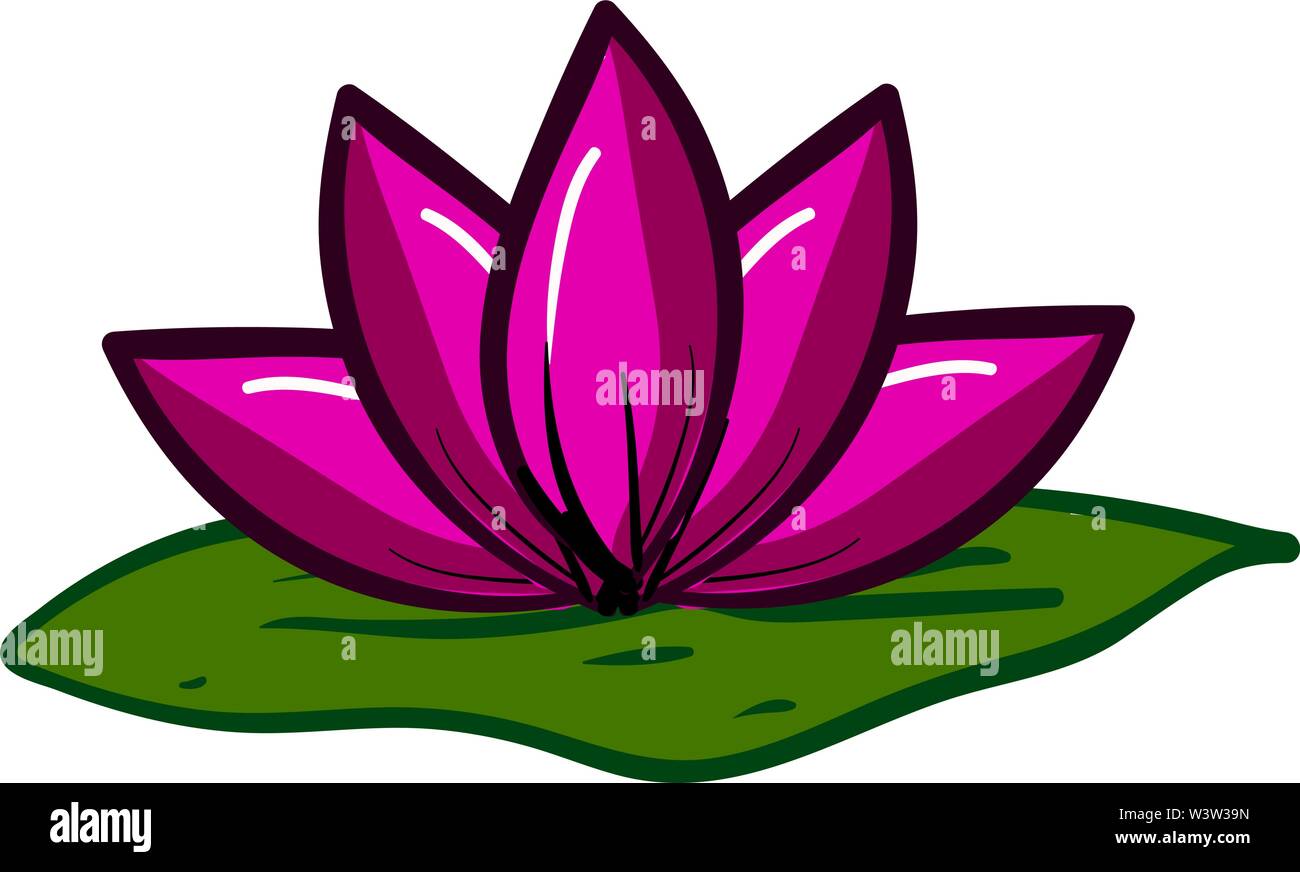 Pink Lotus Blume, Illustration, Vektor auf weißem Hintergrund. Stock Vektor