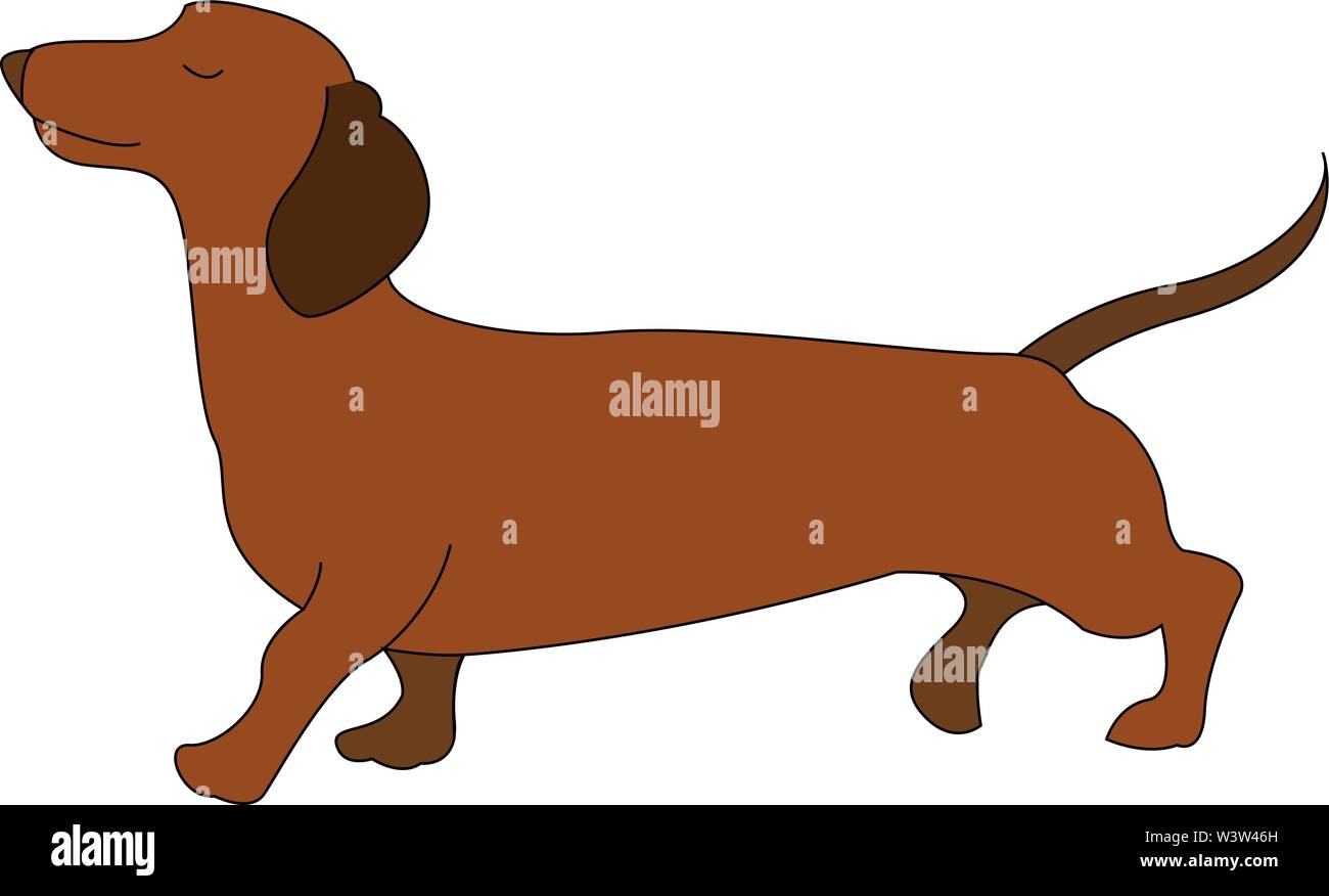 Dackel brauner Hund, Illustration, Vektor auf weißem Hintergrund. Stock Vektor