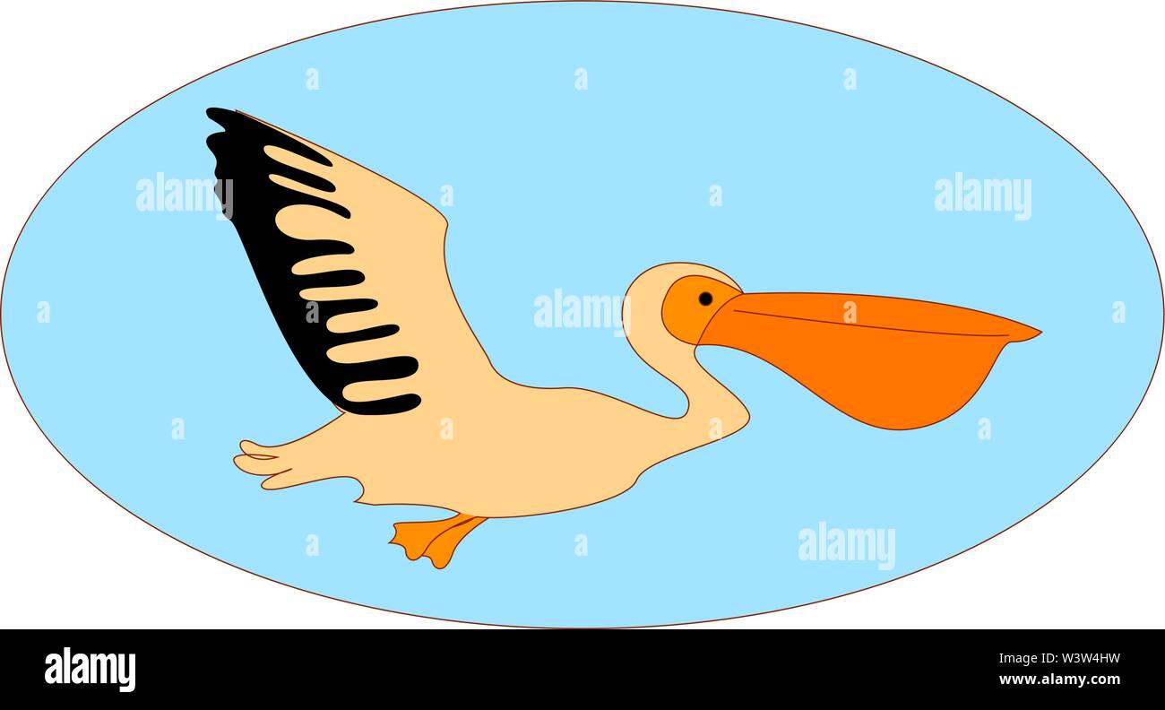 Flying Pelican, Illustration, Vektor auf weißem Hintergrund. Stock Vektor