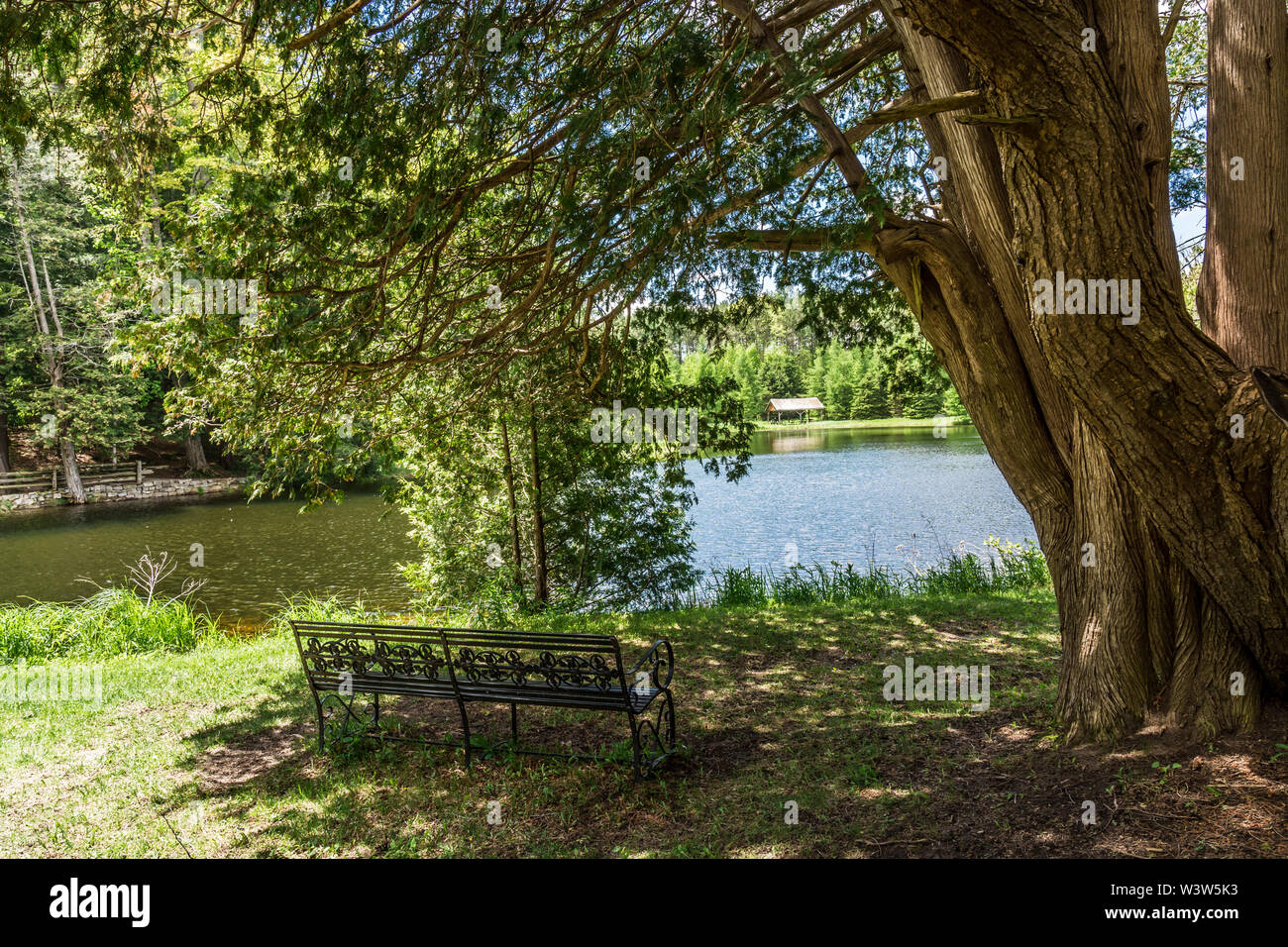 Ruhige Szene mit Bank unter Baumschatten mit Blick auf den See und Wald Stockfoto