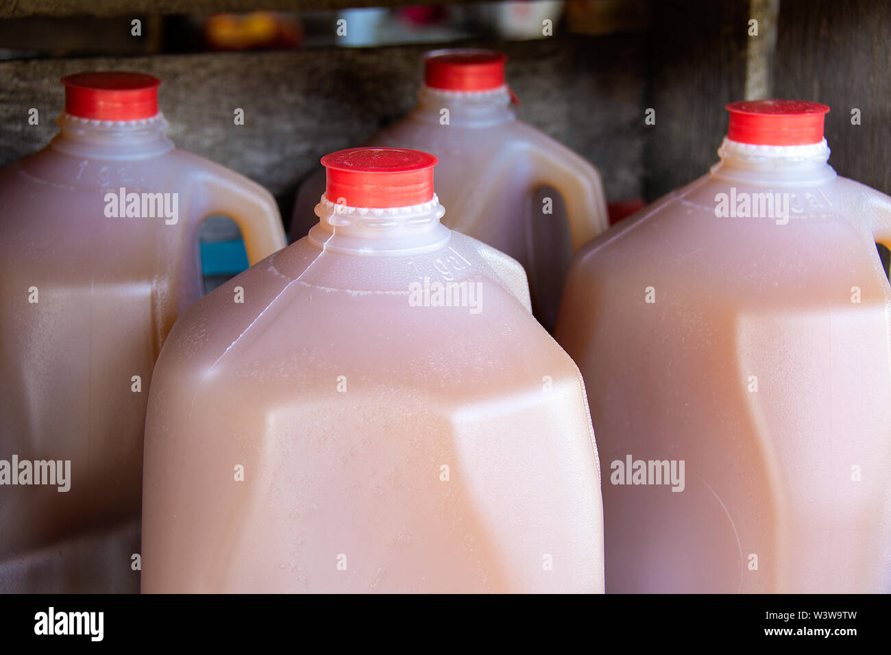 Apple Cider in Kunststoff Gallone Krüge bei der bauernmarkt Stockfoto