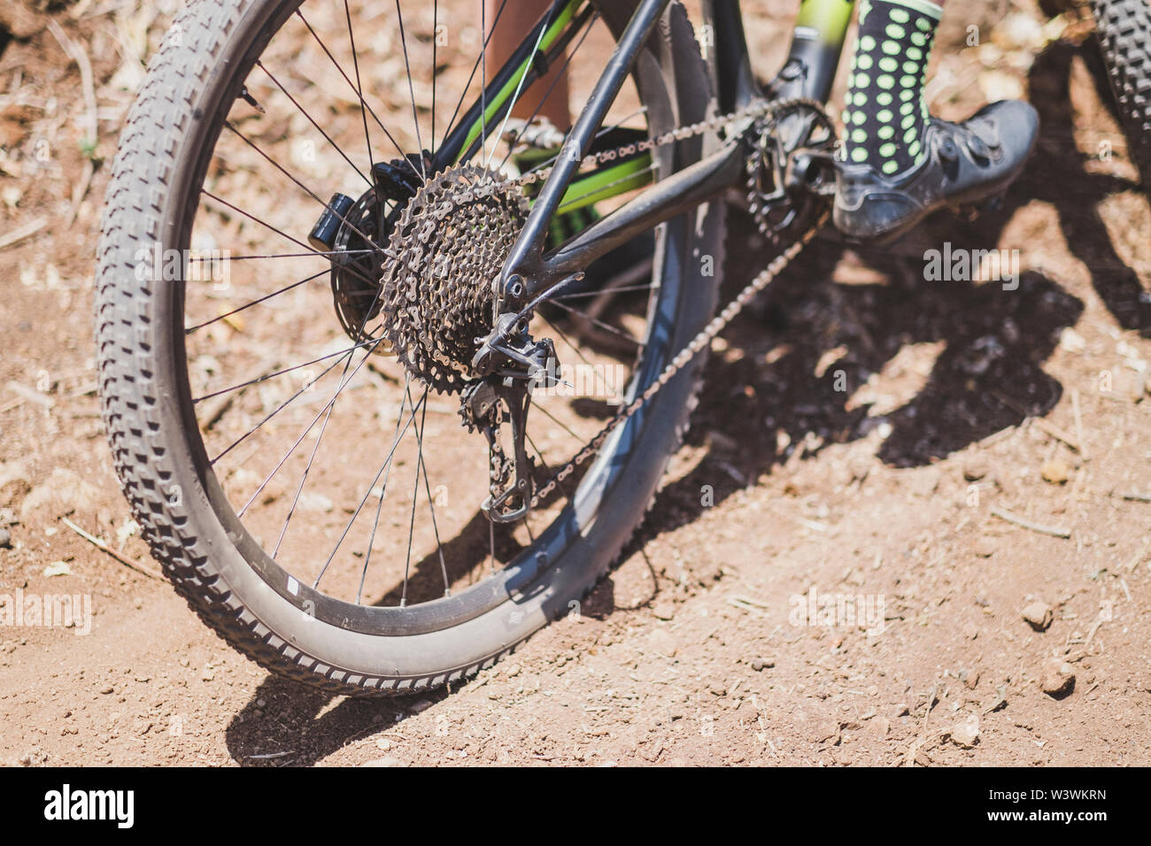 Nahaufnahme Detail Hinterrad Mountainbike Stockfoto