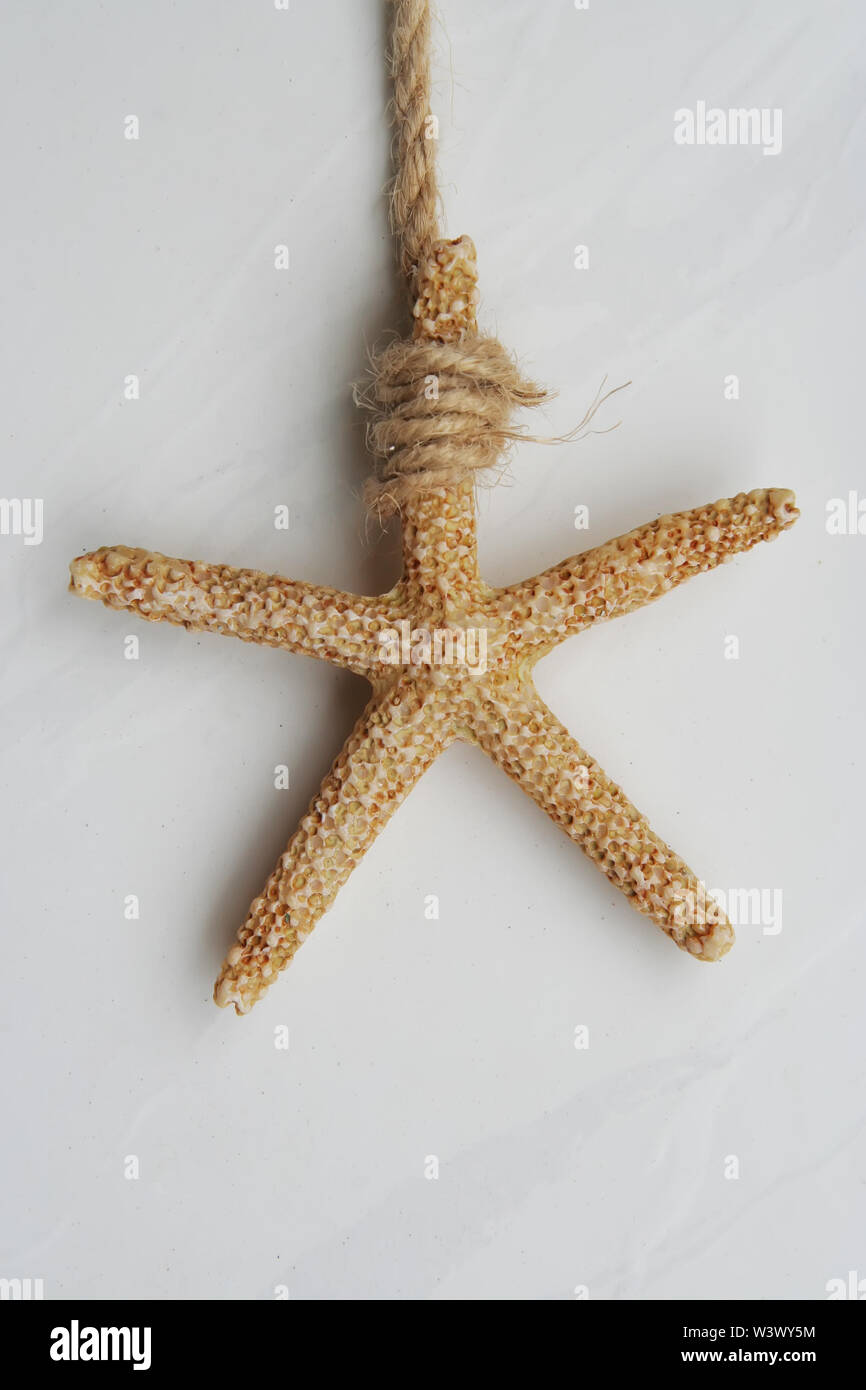 Sea Star als Dekoration. Sea Star Wanddekoration. Sea Star Dekoration. Stockfoto