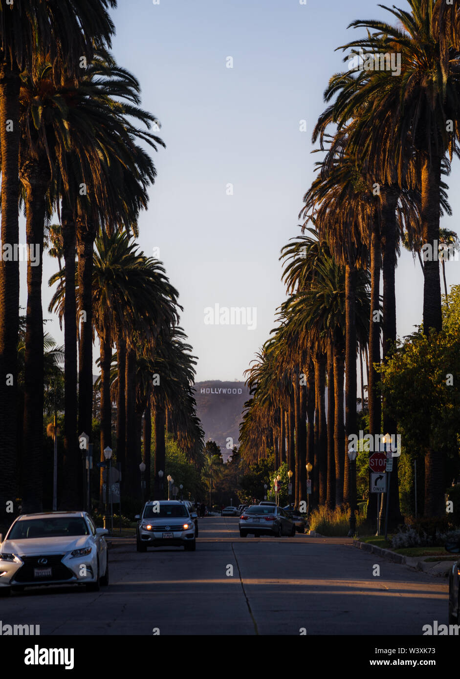 Hollywood-Schild von einer Straße mit Palmen auf beiden Seiten in Los Angeles, Kalifornien, USA Stockfoto