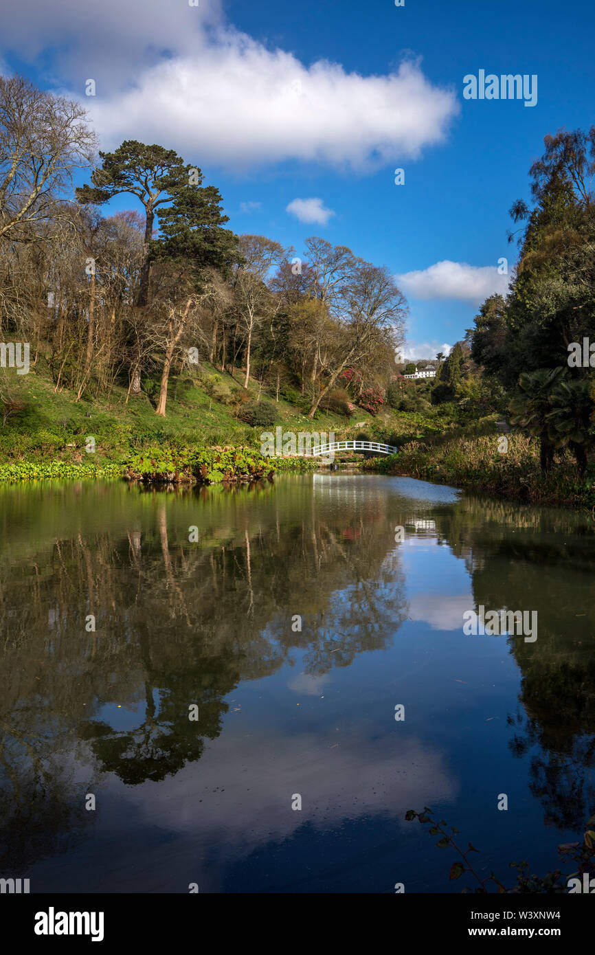 Trebah Garten; Feder; Cornwall, UK Stockfoto