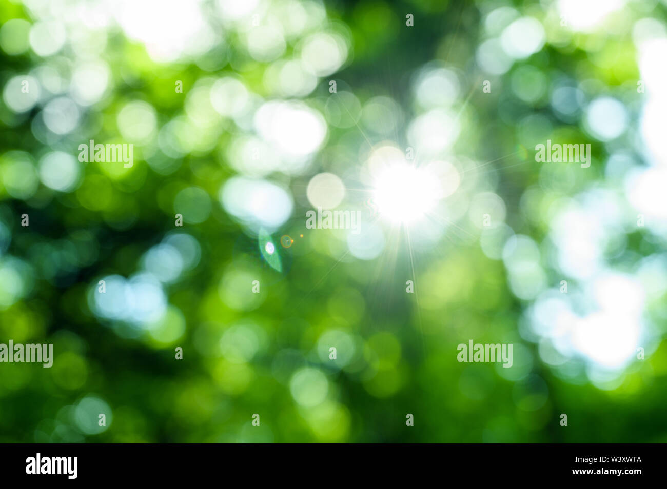 Natürlich grüne Bokeh abstrakt Hintergrund. Stockfoto