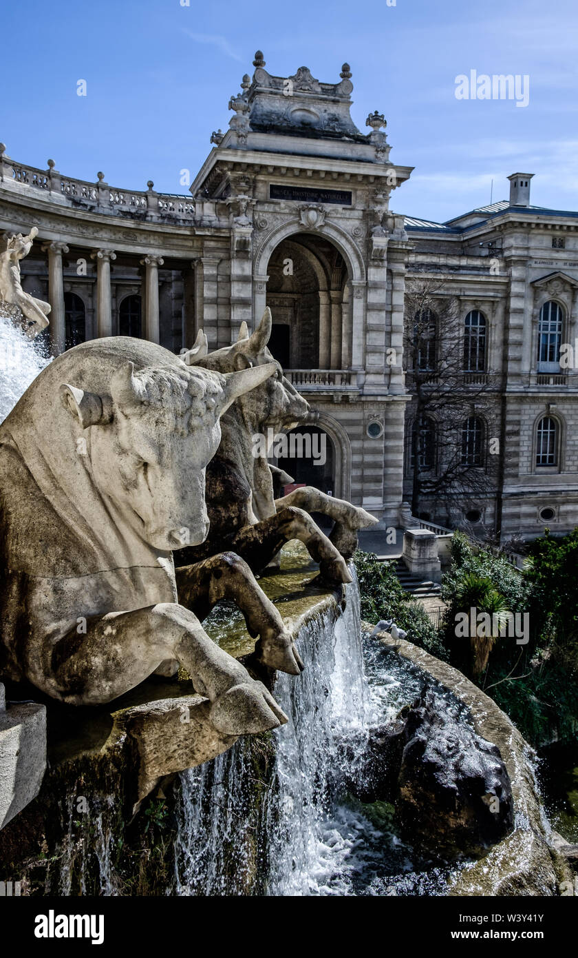 Marseille, Frankreich, 2019. März, Nahaufnahme des als „Wasserburg“ bekannten Brunnens und seiner Stierskulpturen im Palais Longchamp. Stockfoto