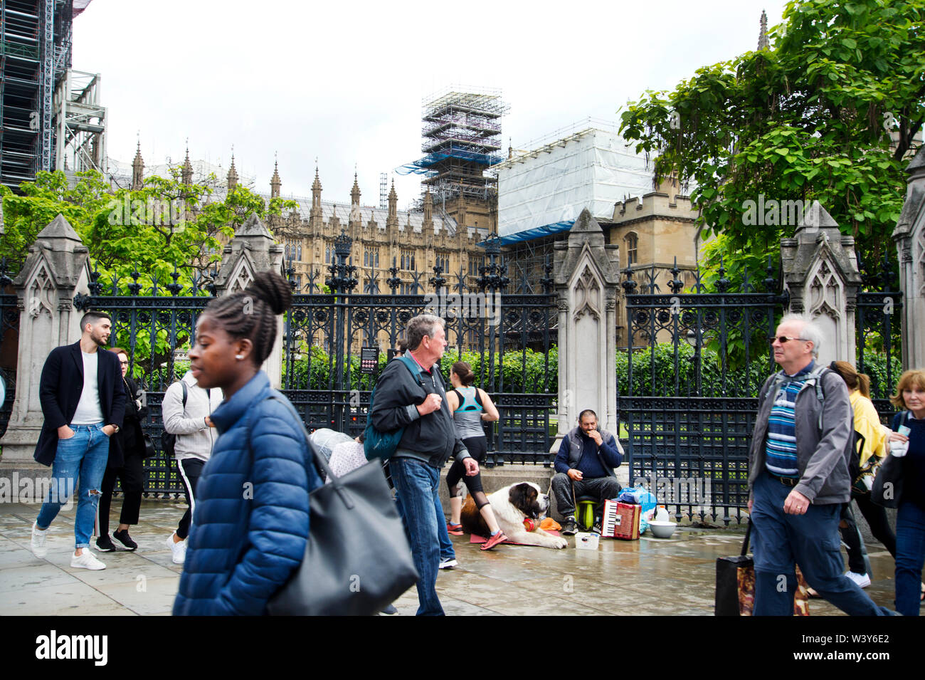 Westminster, Parliament Square. Mann mit Bernhardiner Hund vor dem Parlament. Stockfoto