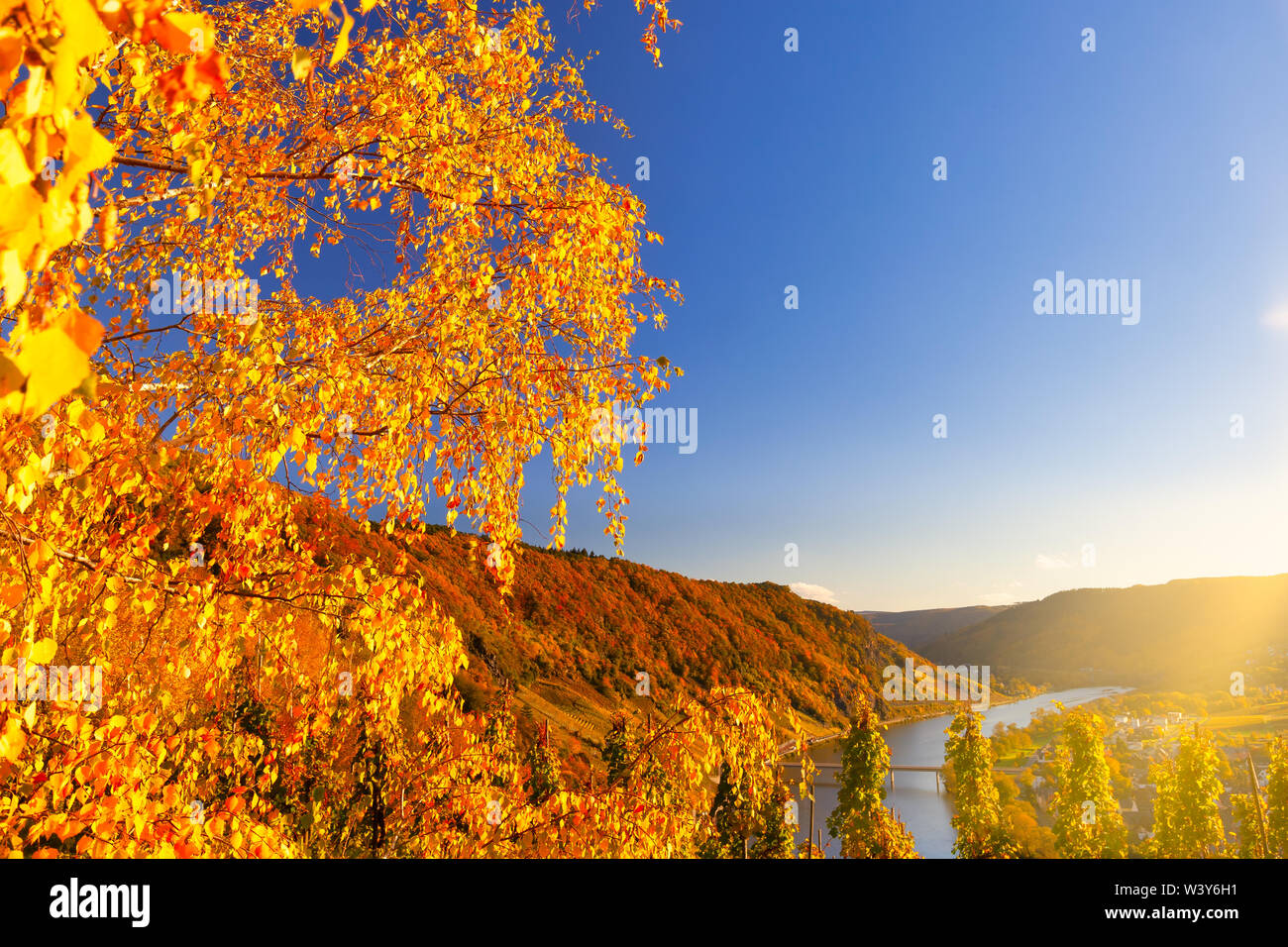 Herbst Landschaft der Mosel in Deutschland auf einem schönen Herbst Tag mit strahlendem Sonnenschein und die Farben des Herbstes, Europa Stockfoto