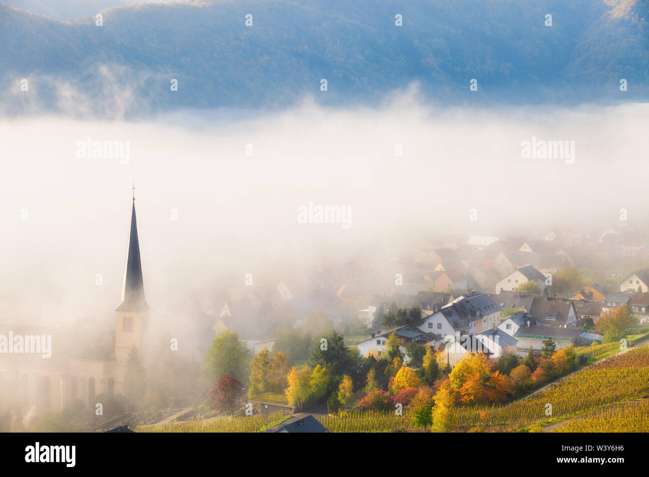 Weinberge im Herbst an der Mosel mit einem Dorf und eine Kirche in den Wolken auf einem schönen Herbst morgen in der Landschaft Stockfoto