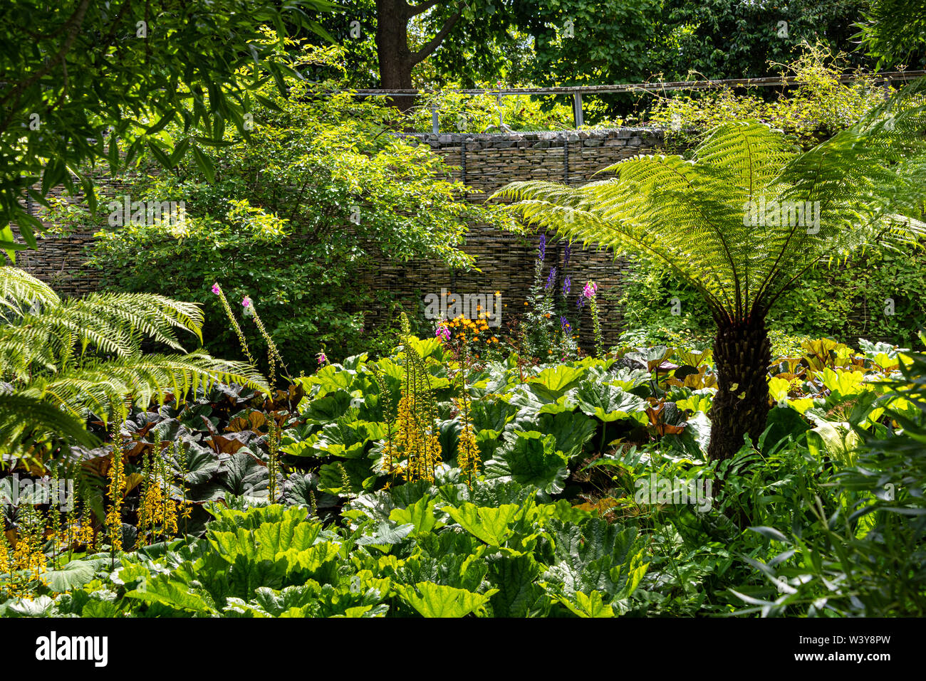 Das Robinson Garten RHS Hyde Hall, üppig, sumpfigen Garten. Stockfoto