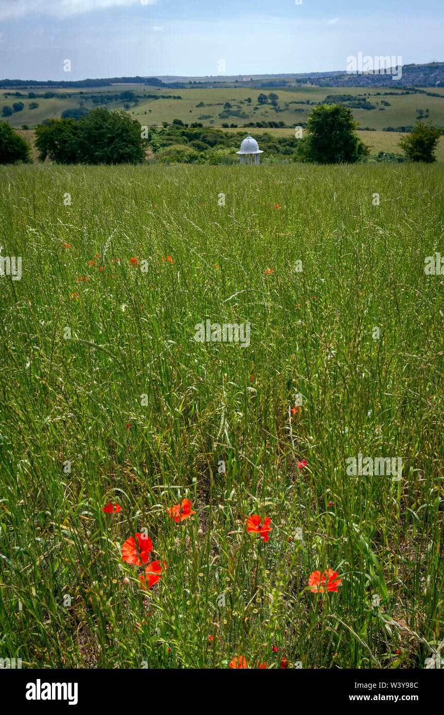 Die chattri Kriegerdenkmal auf der South Downs über Brighton zu der indischen Armee Soldaten, die im Ersten Weltkrieg gefallen sind. Stockfoto