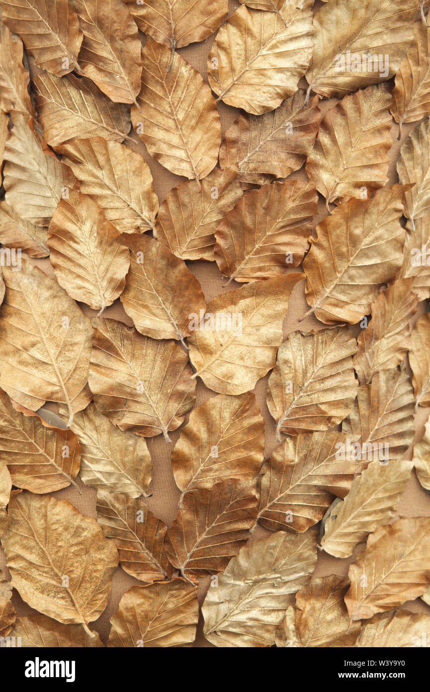 Muster der Blätter gesprüht golden Stockfoto
