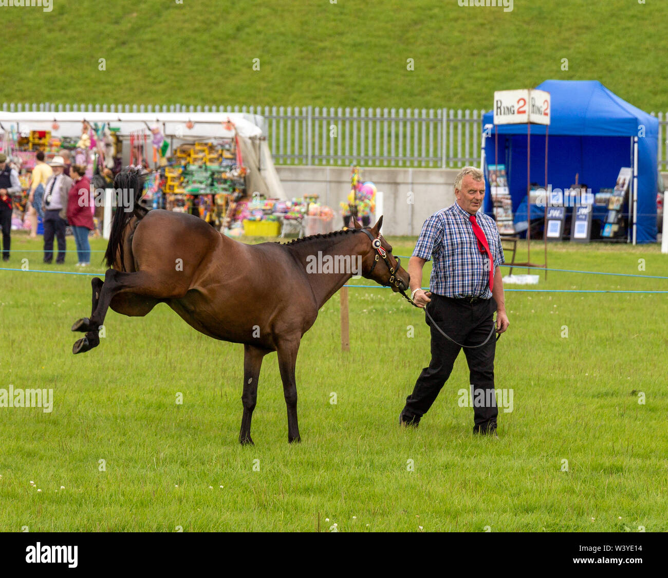 Skibbereen, West Cork, Irland, 18. Juli 2019, die Sonne auf der Carbery zeigen glänzte heute der Gemeinschaft ermöglicht, ihre Tiere zu zeigen, Reiten ihre Pferde und den Spaß der Show Boden genießen. Kredit aphperspective/Alamy leben Nachrichten Stockfoto