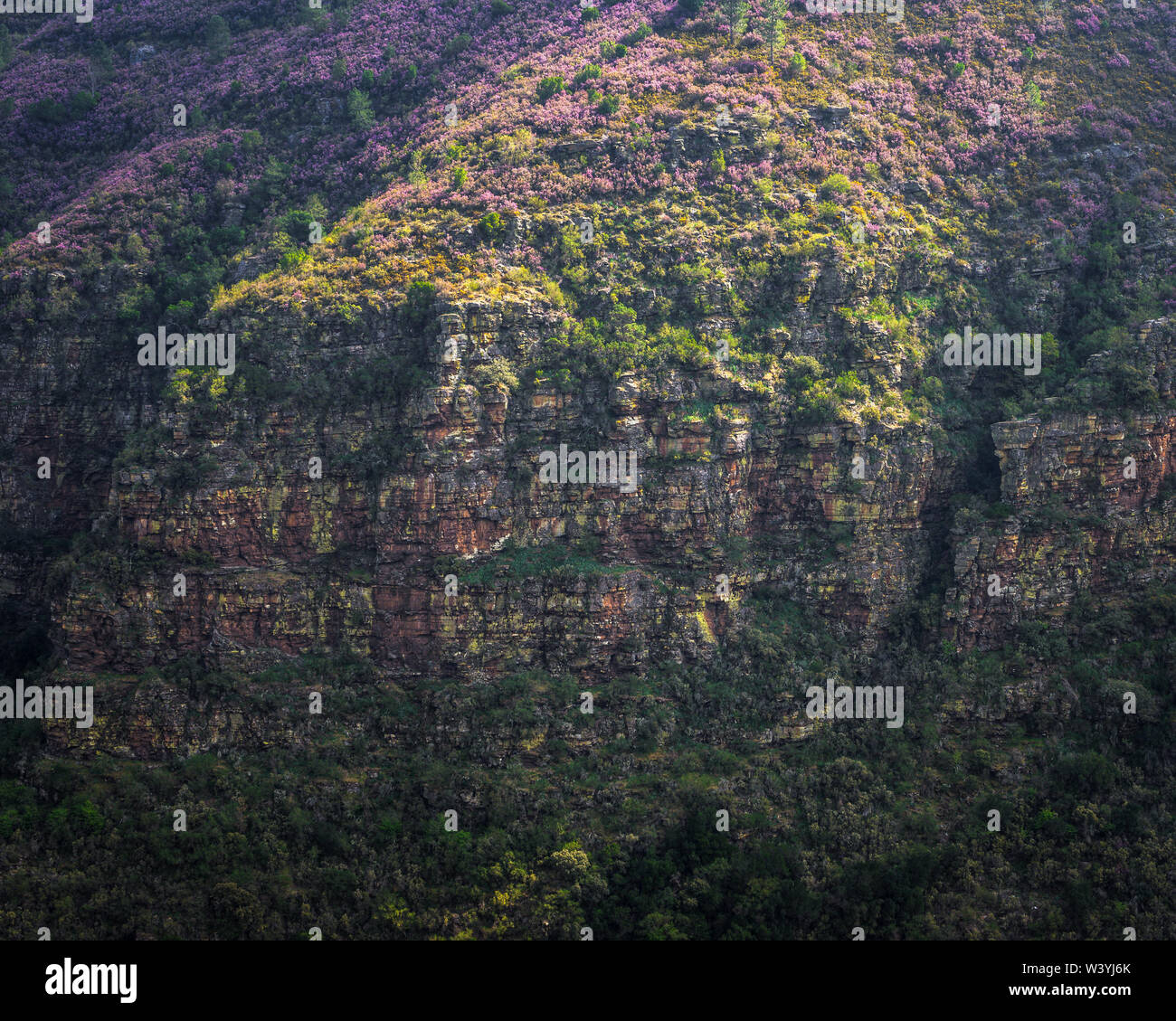 Horizontale Schichten aus Quarzit rock im Devonischen Faltungen des Geoparks Courel Berge Stockfoto