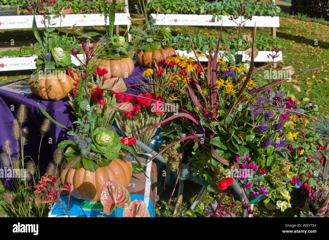 Eine bunte Anzeige von Gemüse und Pflanzen am Althorp Essen und Trinken Festival, eine jährliche Veranstaltung in Althorp House, Northamptonshire, Großbritannien Stockfoto