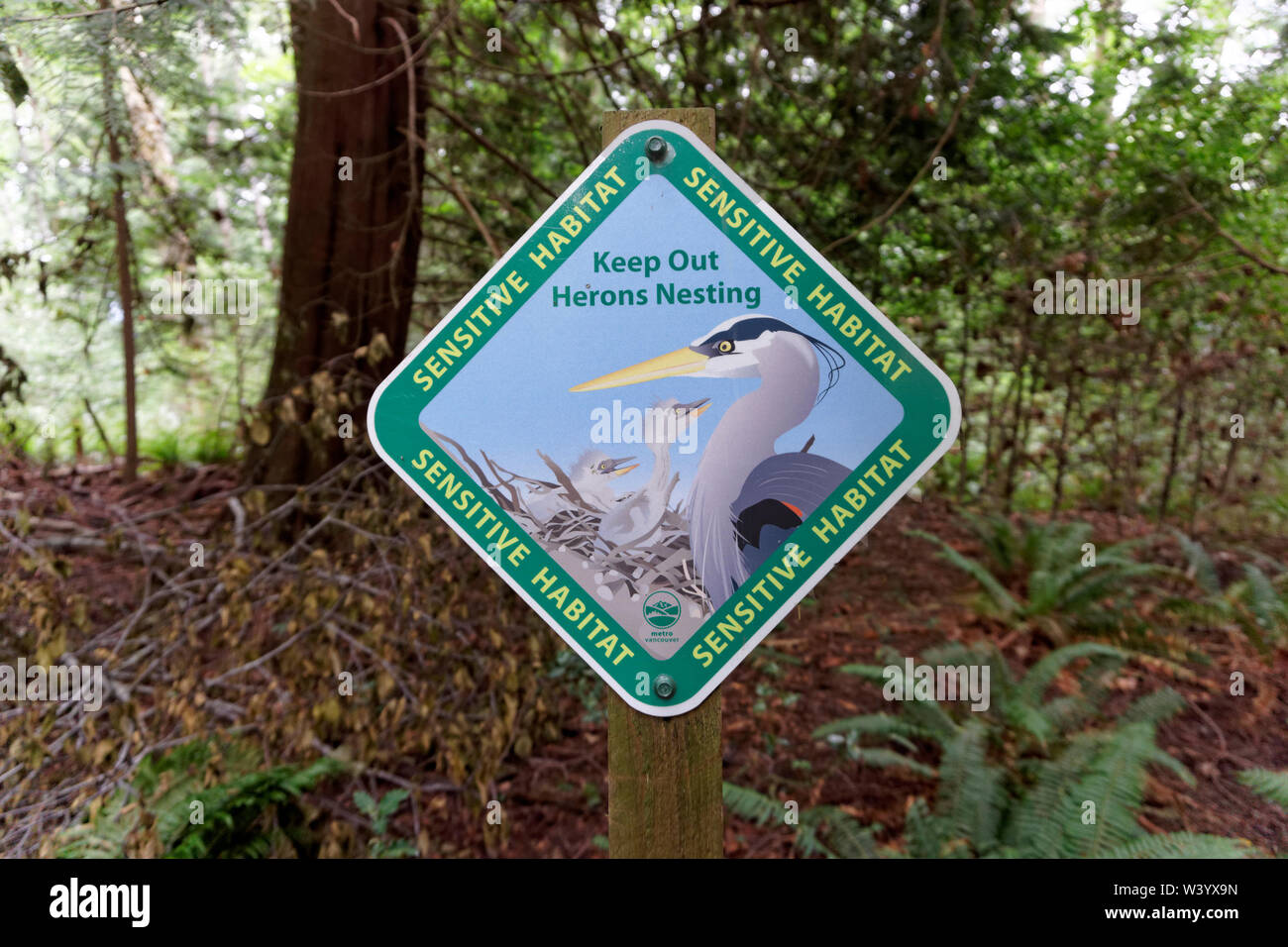 Graureiher nisten sensiblen Lebensraum Warnschild in Crippen regionalen Park auf Bowen Island, Vancouver, BC, Kanada Stockfoto